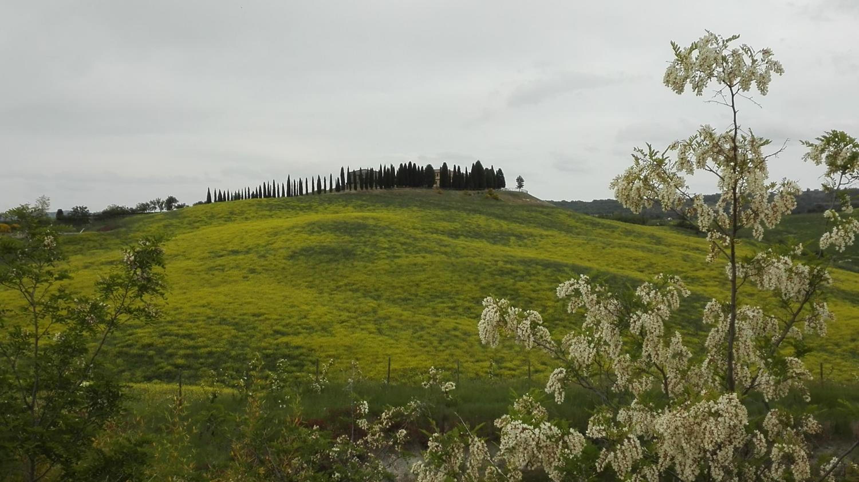 Agriturismo Bonello