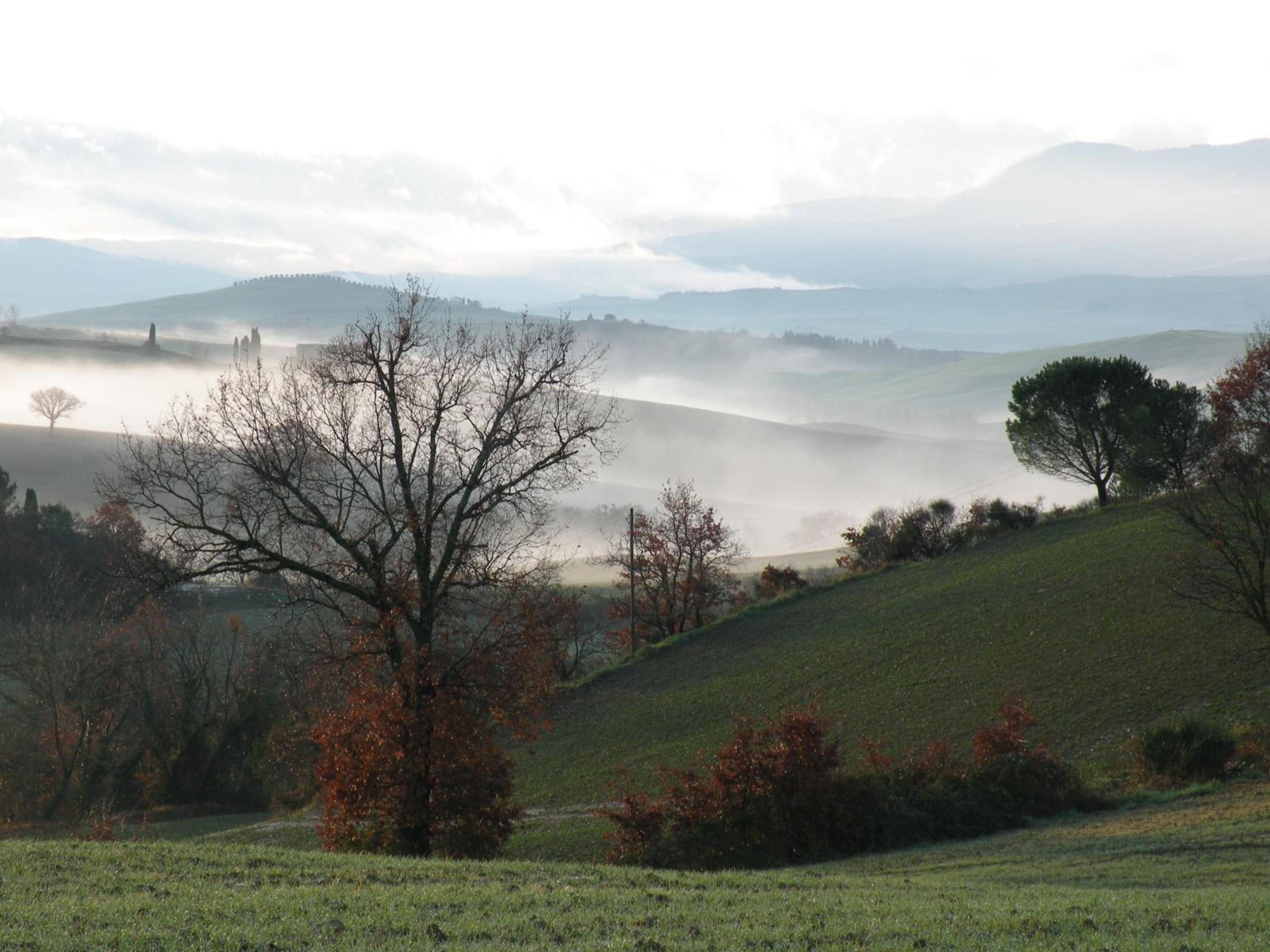 Agriturismo Bonello
