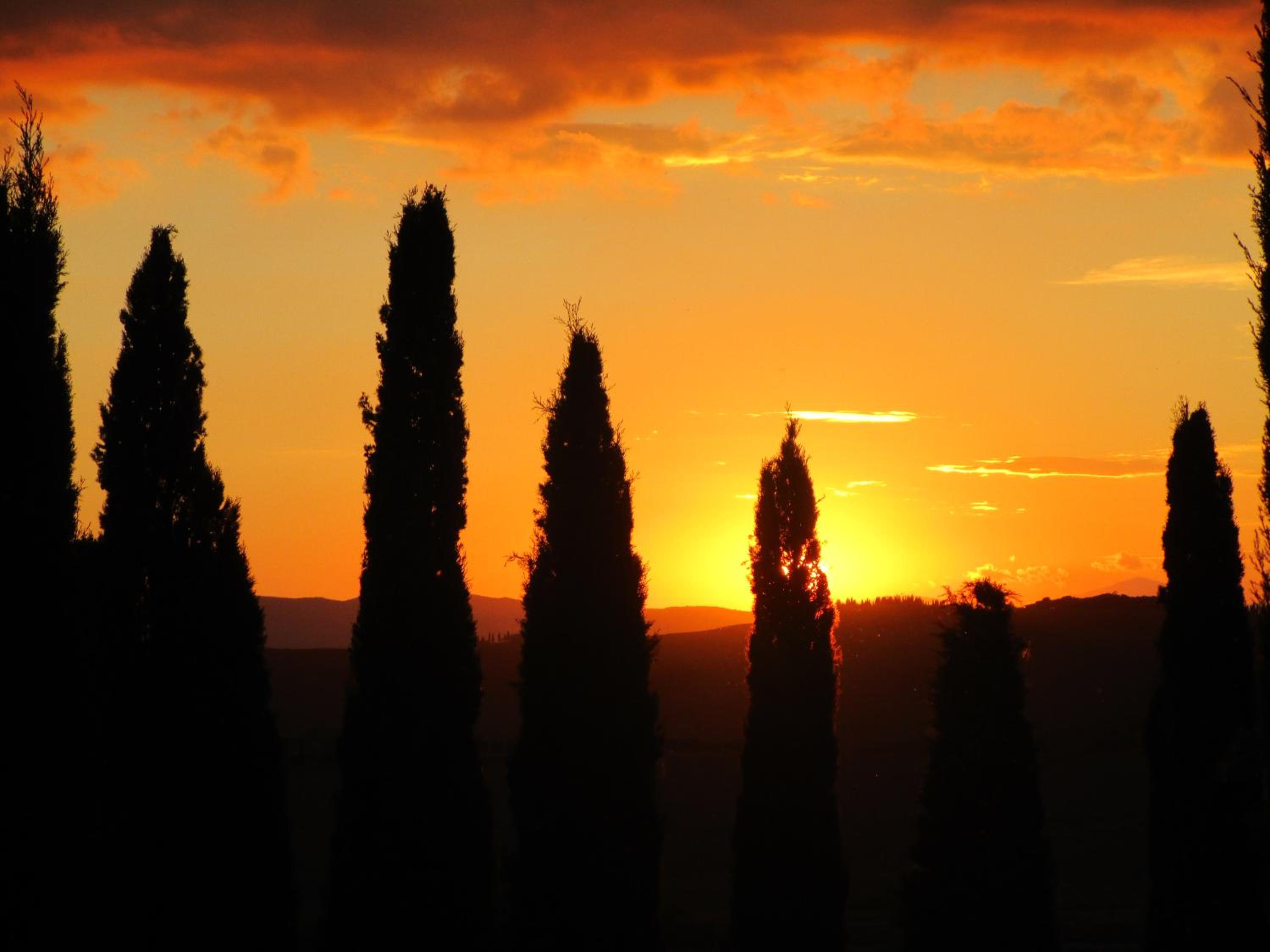 Agriturismo Bonello