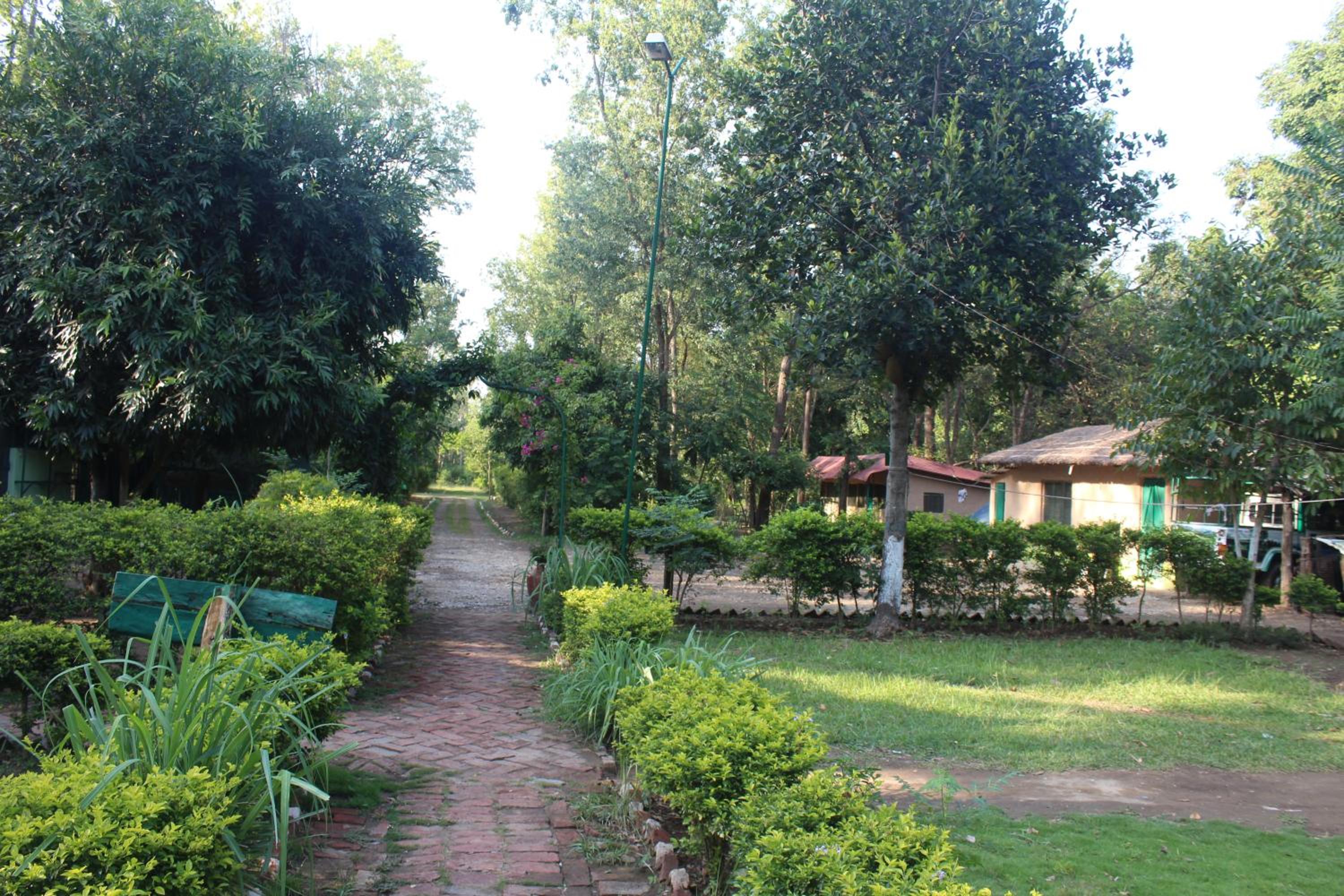 Photo 18