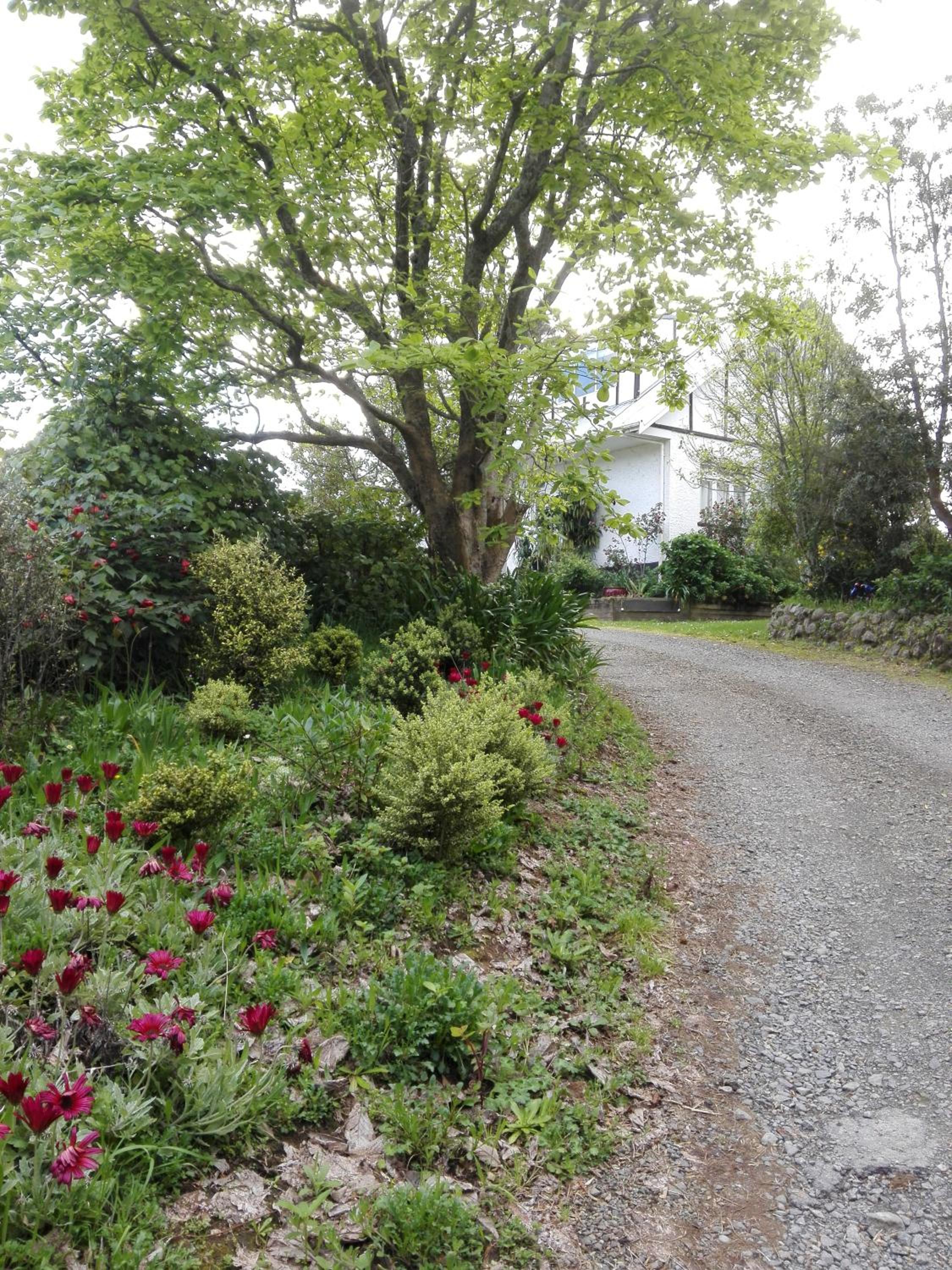 Purple Hen Country Lodge