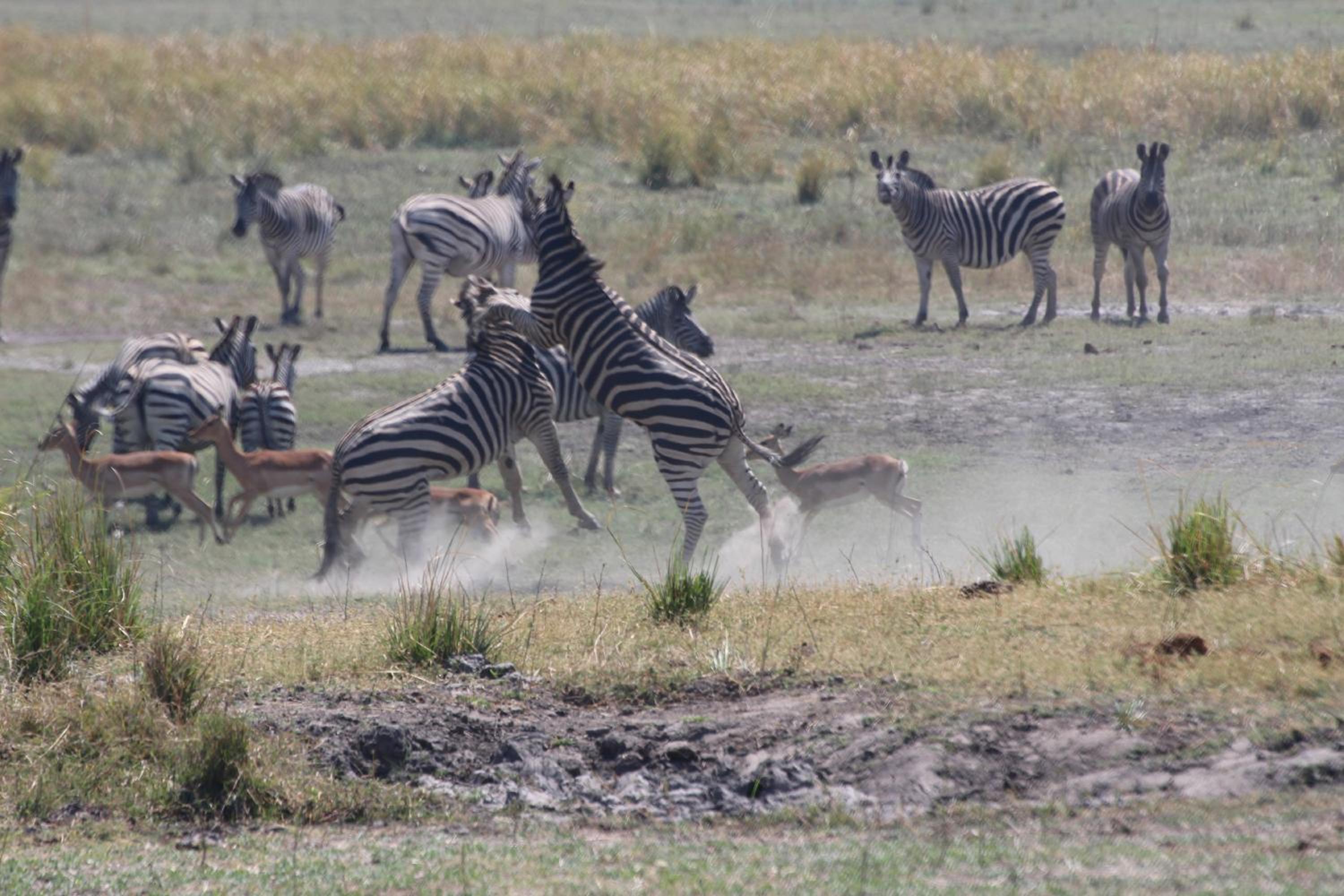 Thobolo's Bush Lodge