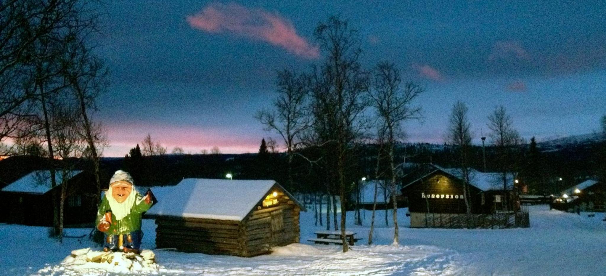 Photo 42