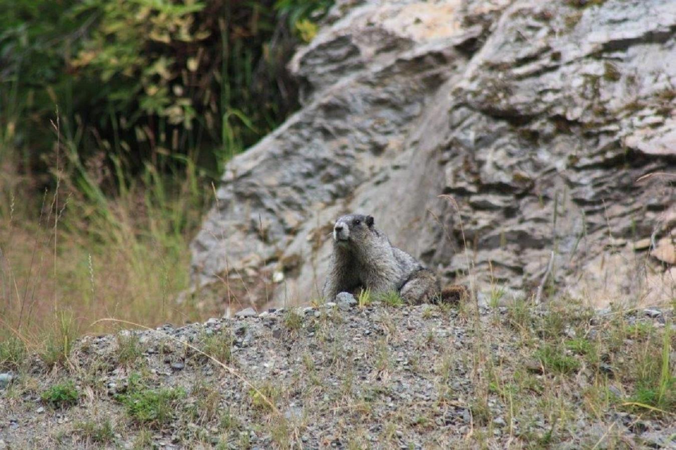 Photo 56