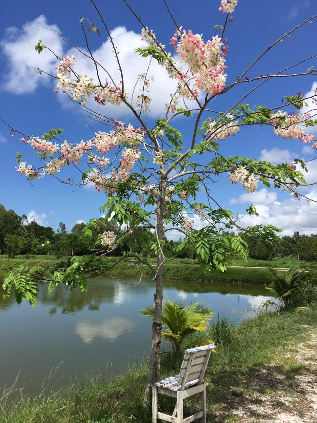 Sarocha Resort Rayong
