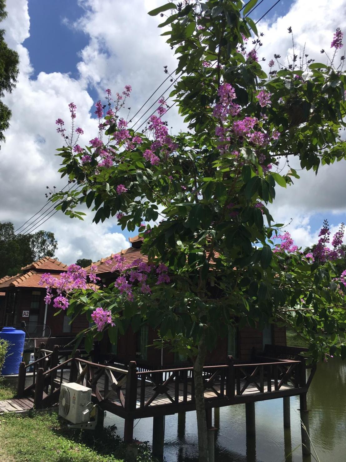 Sarocha Resort Rayong