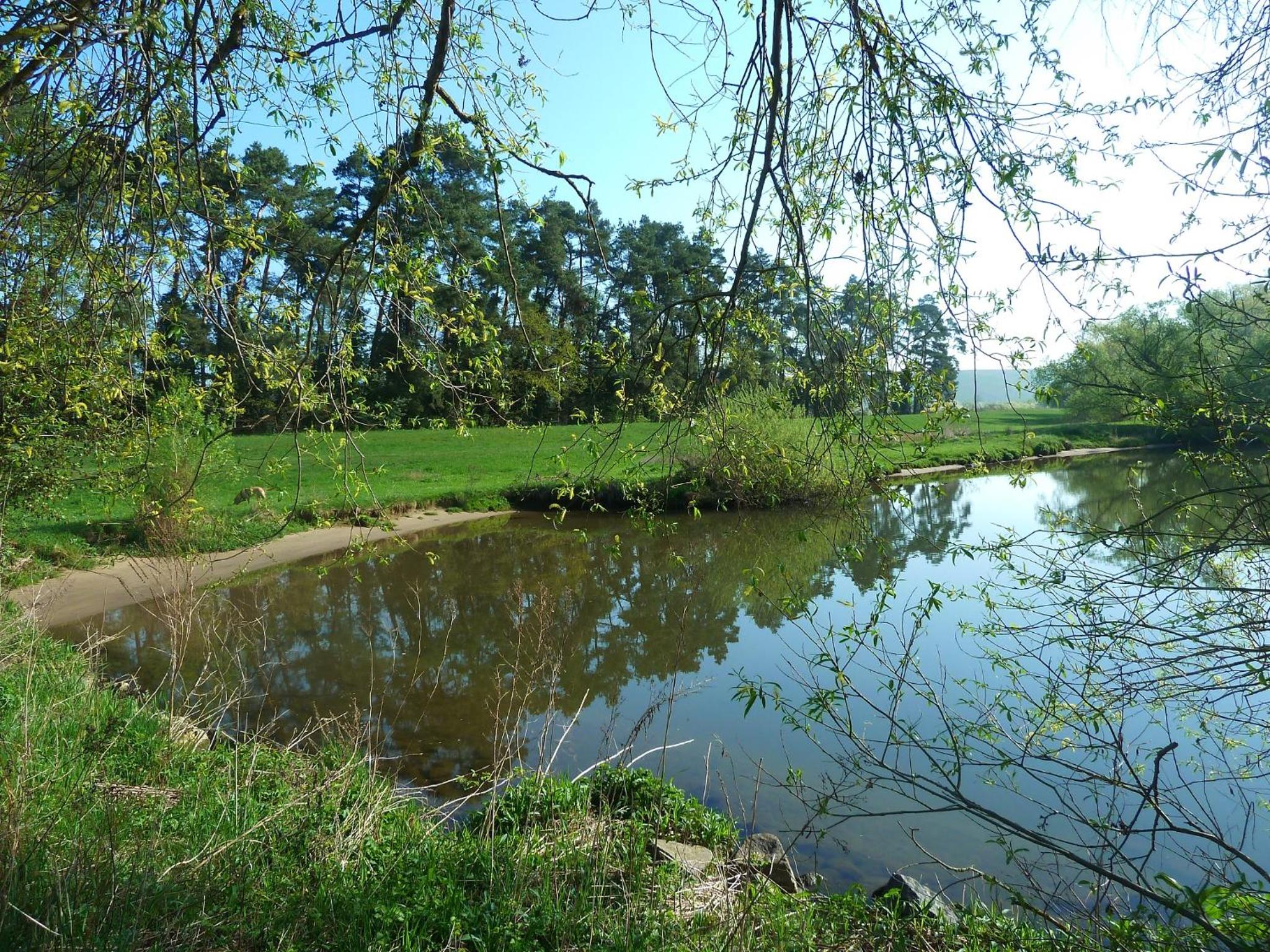 Photo 13
