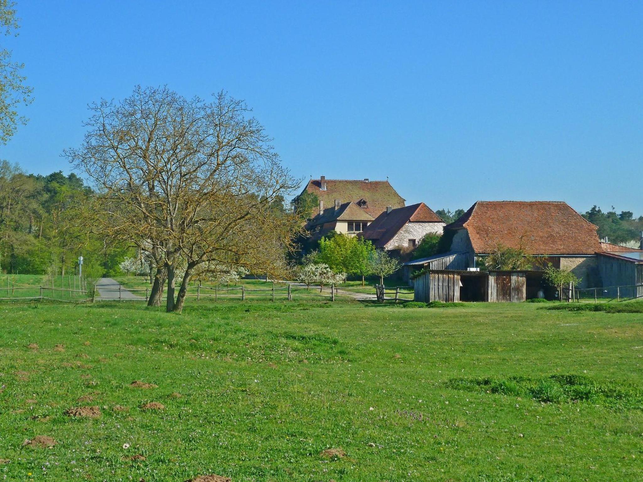 Photo 42