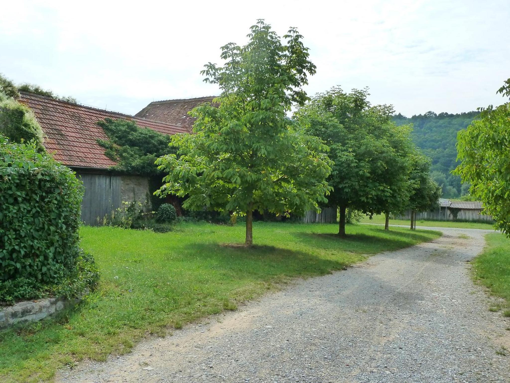 Photo 43
