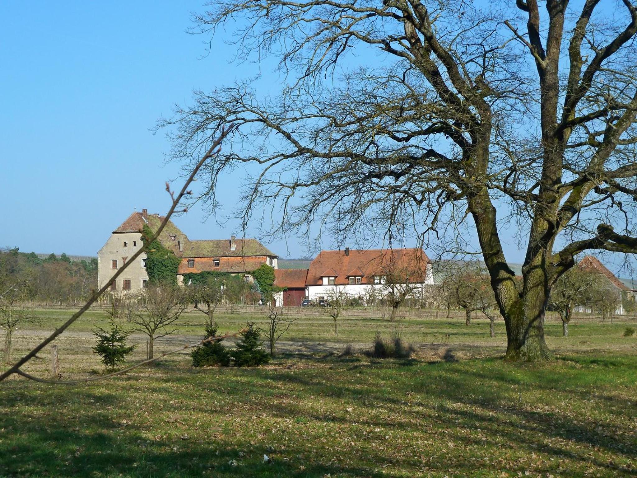 Photo 45