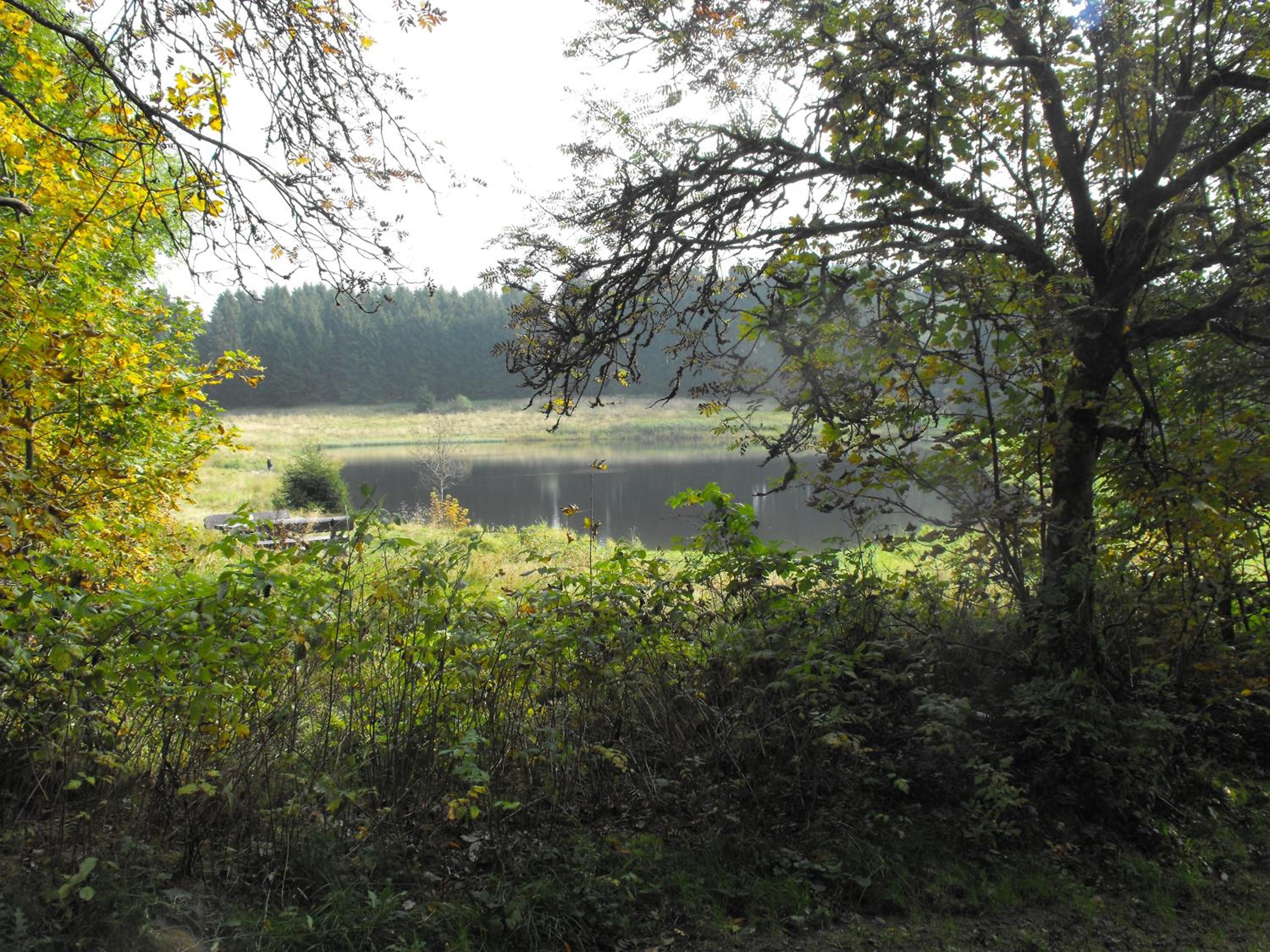 Photo 36