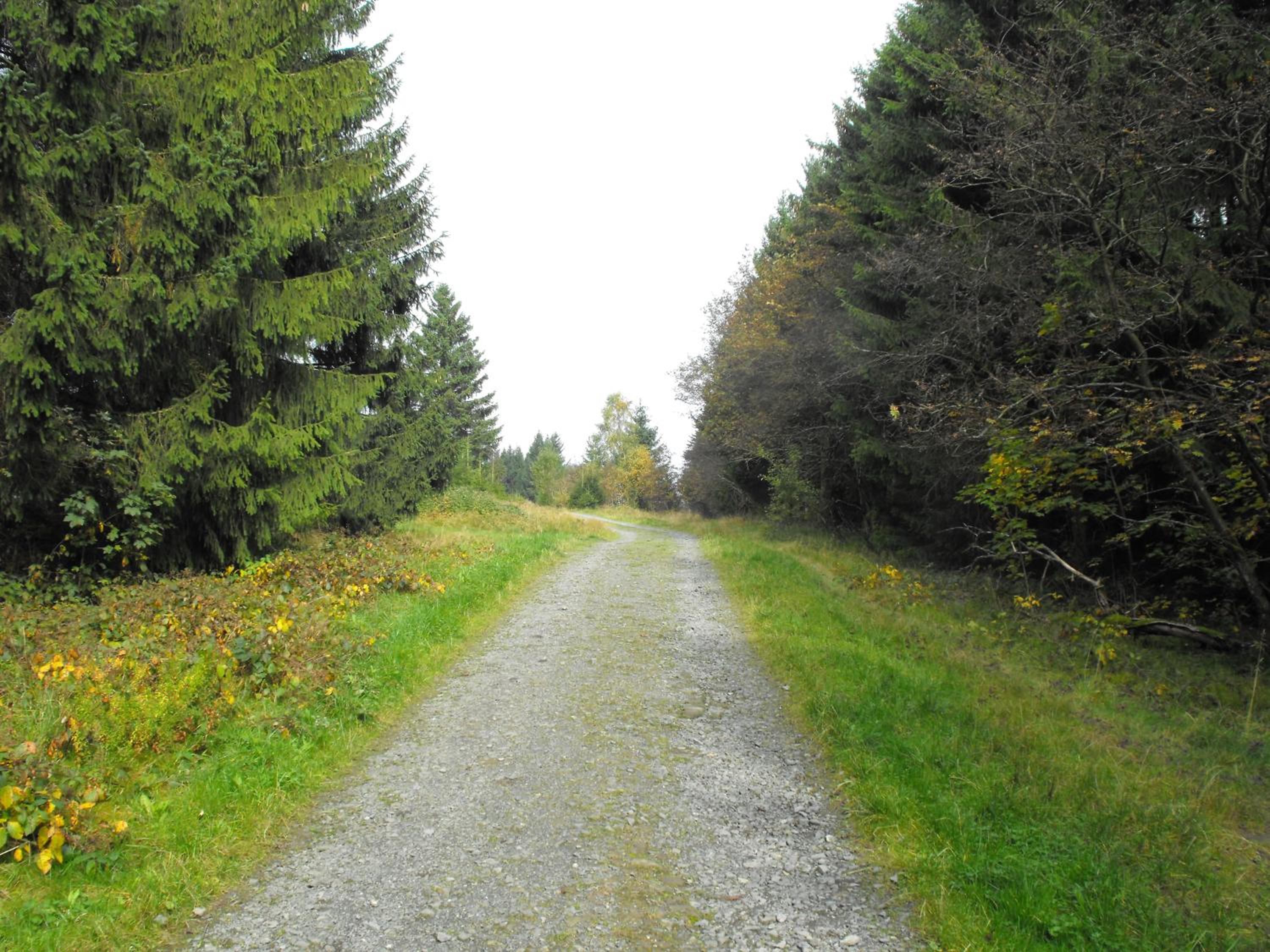 Photo 35