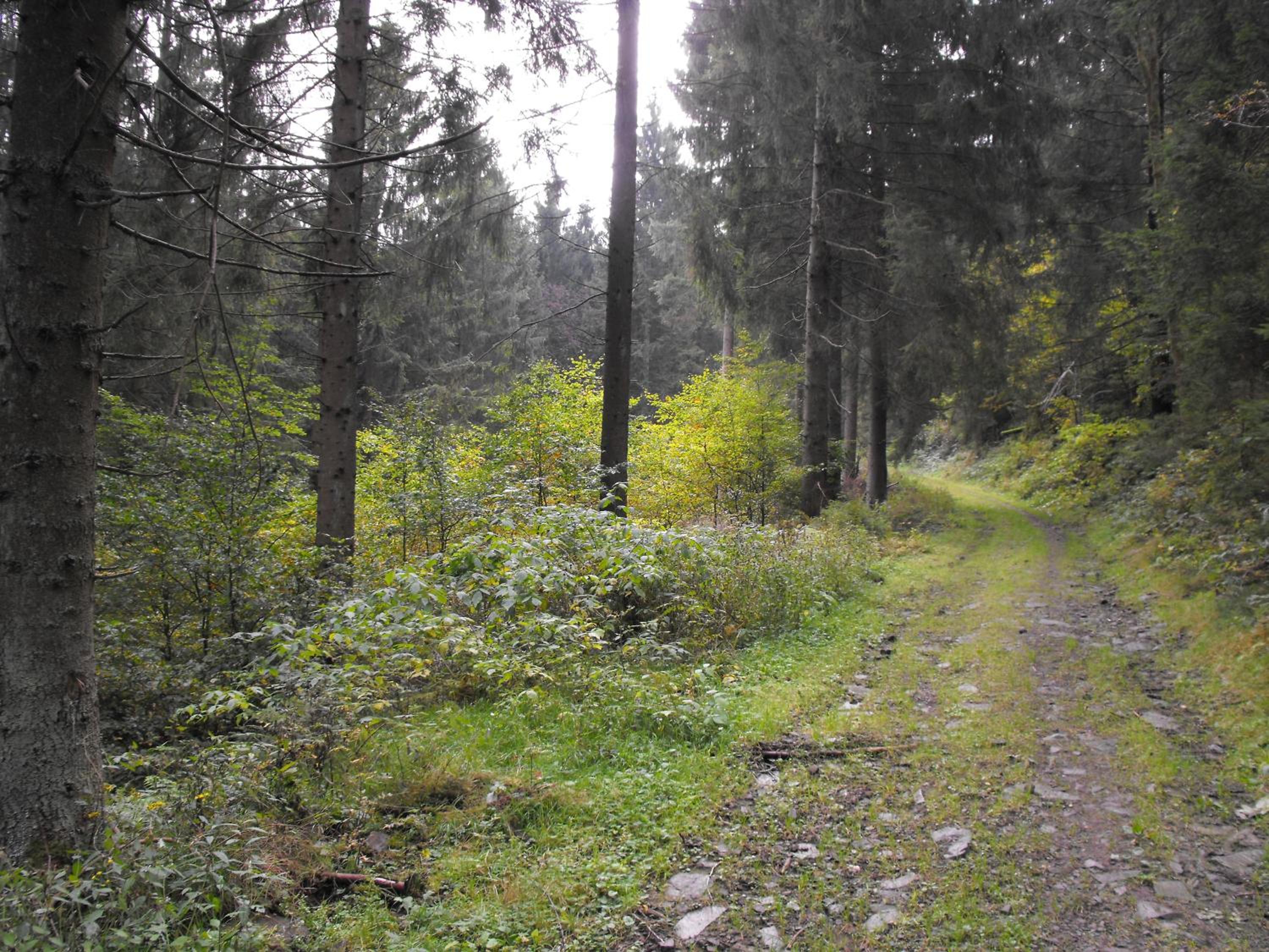 Photo 34