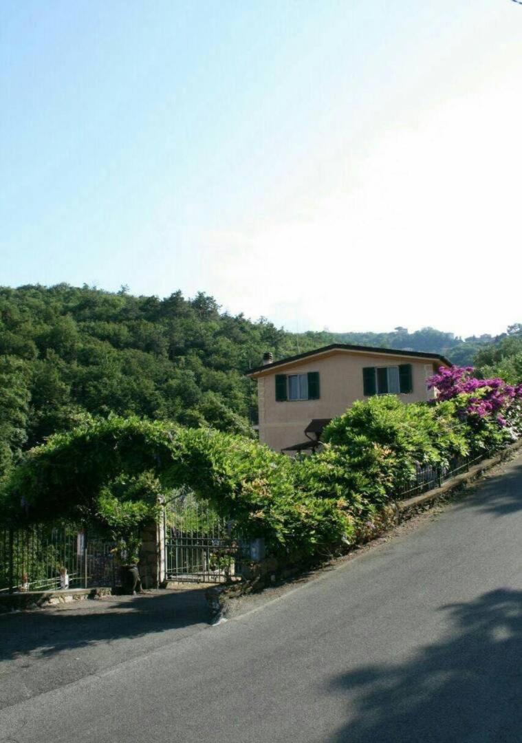 Collina e mare photo 3