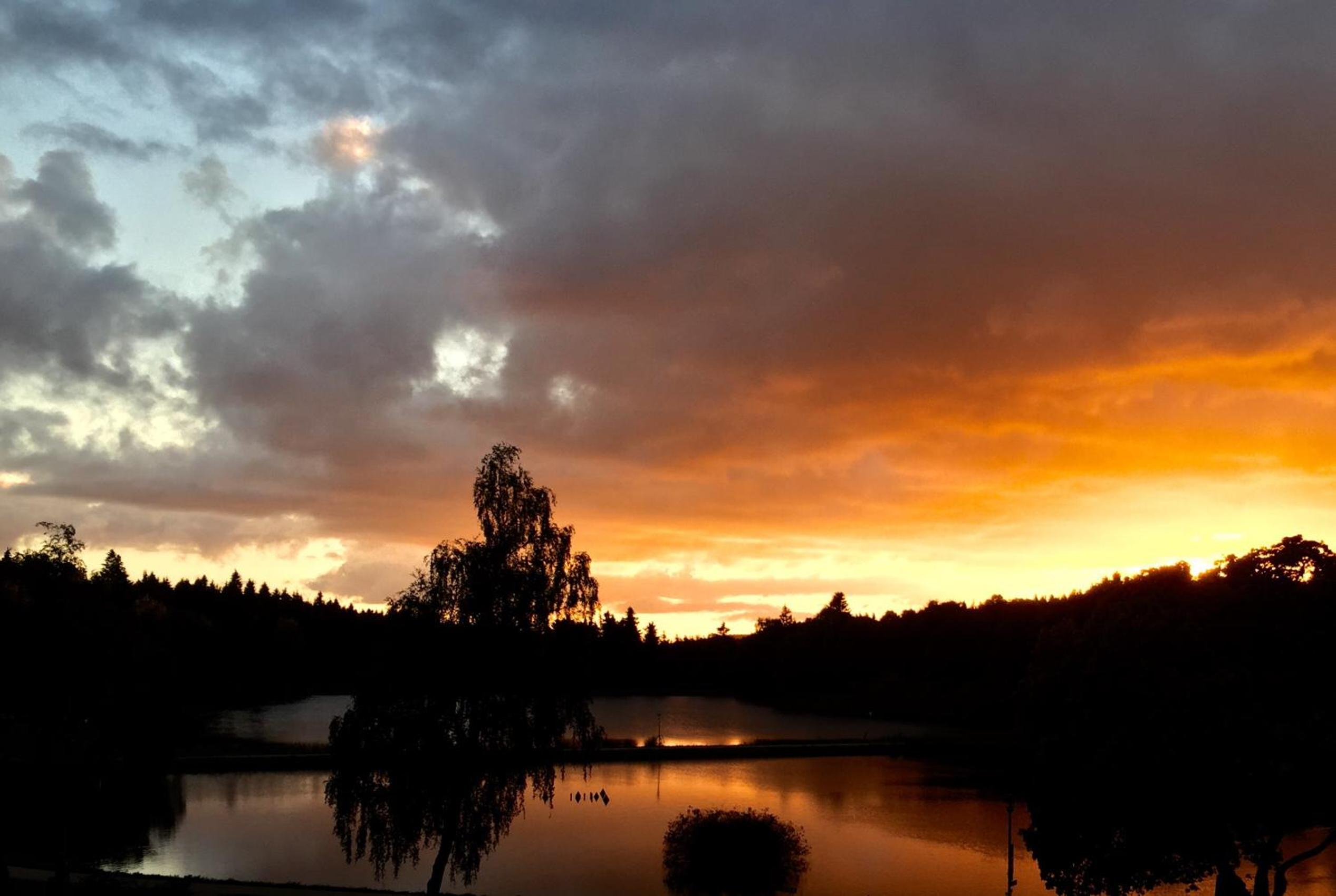 Seesicht Appartements am Kranichsee