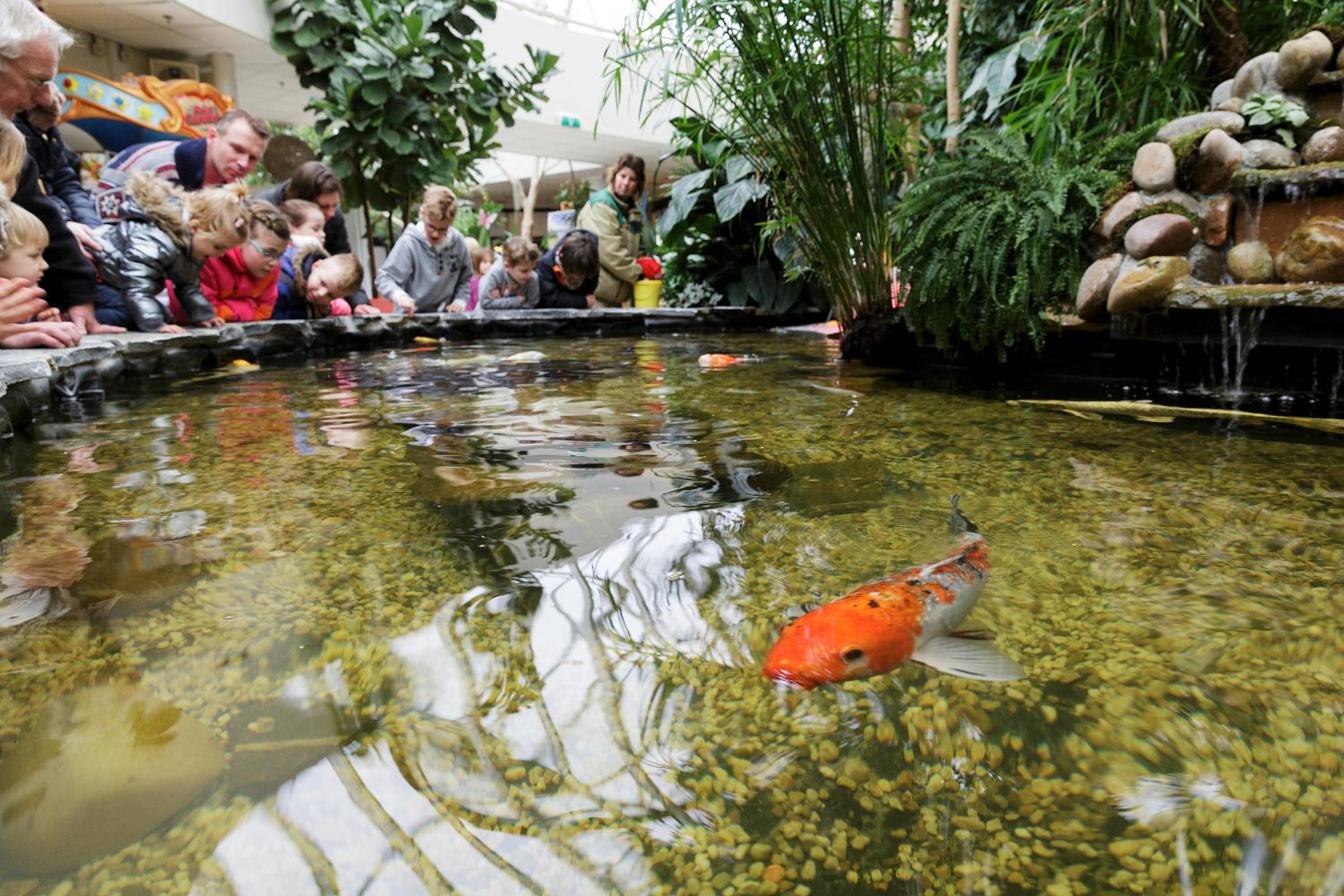 Center Parcs Zandvoort beach