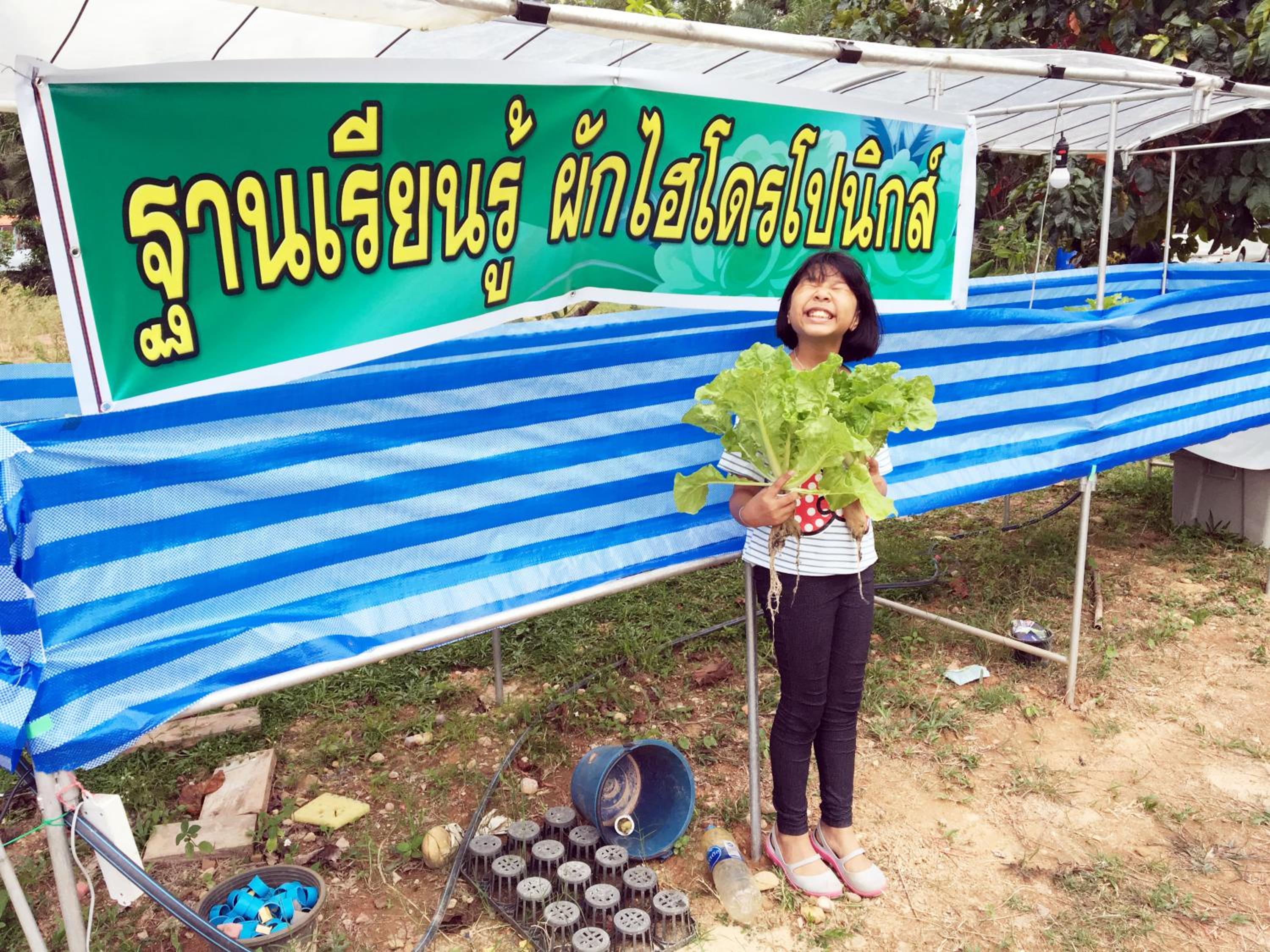 Go Green Resort