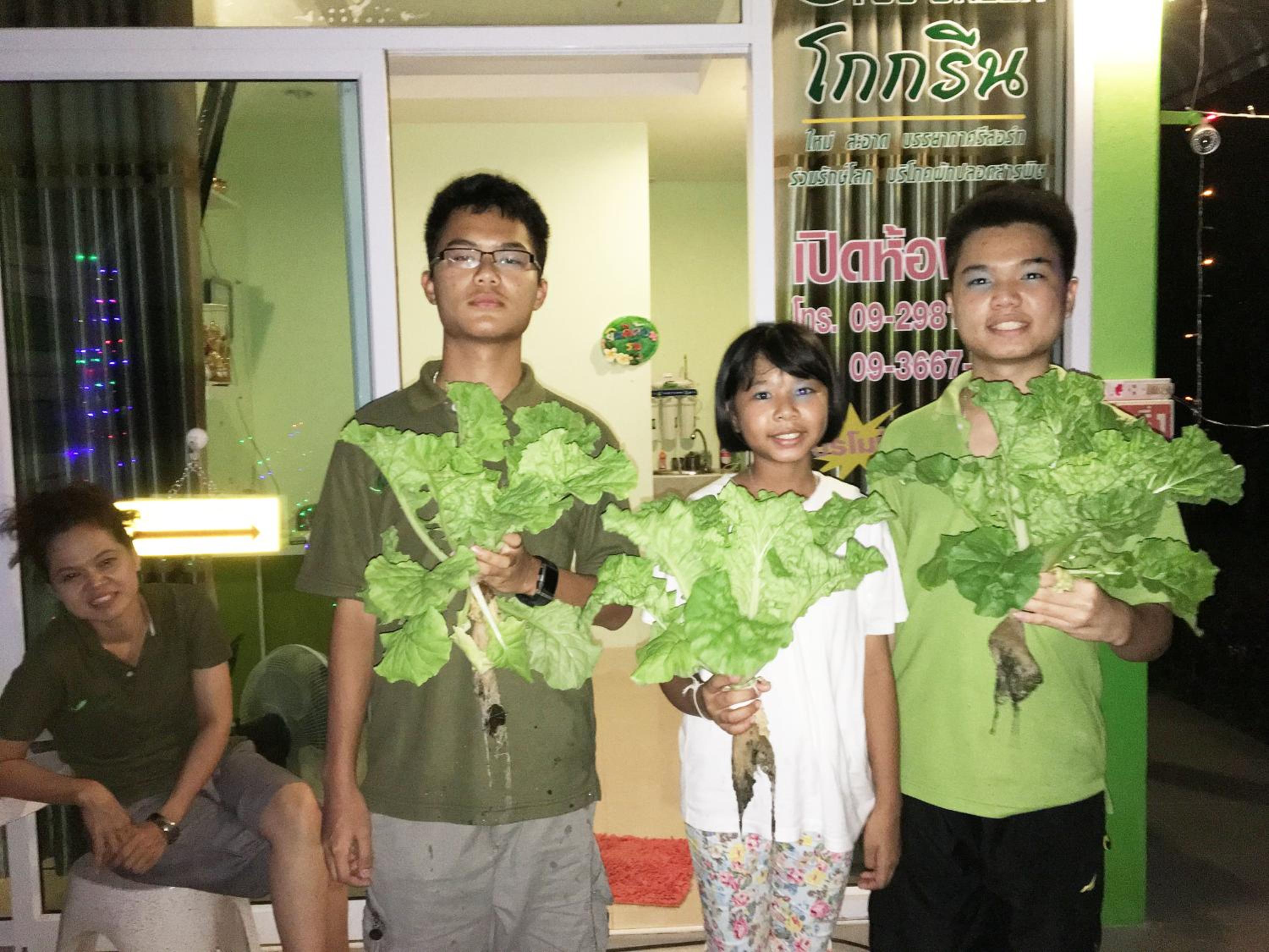 Go Green Resort