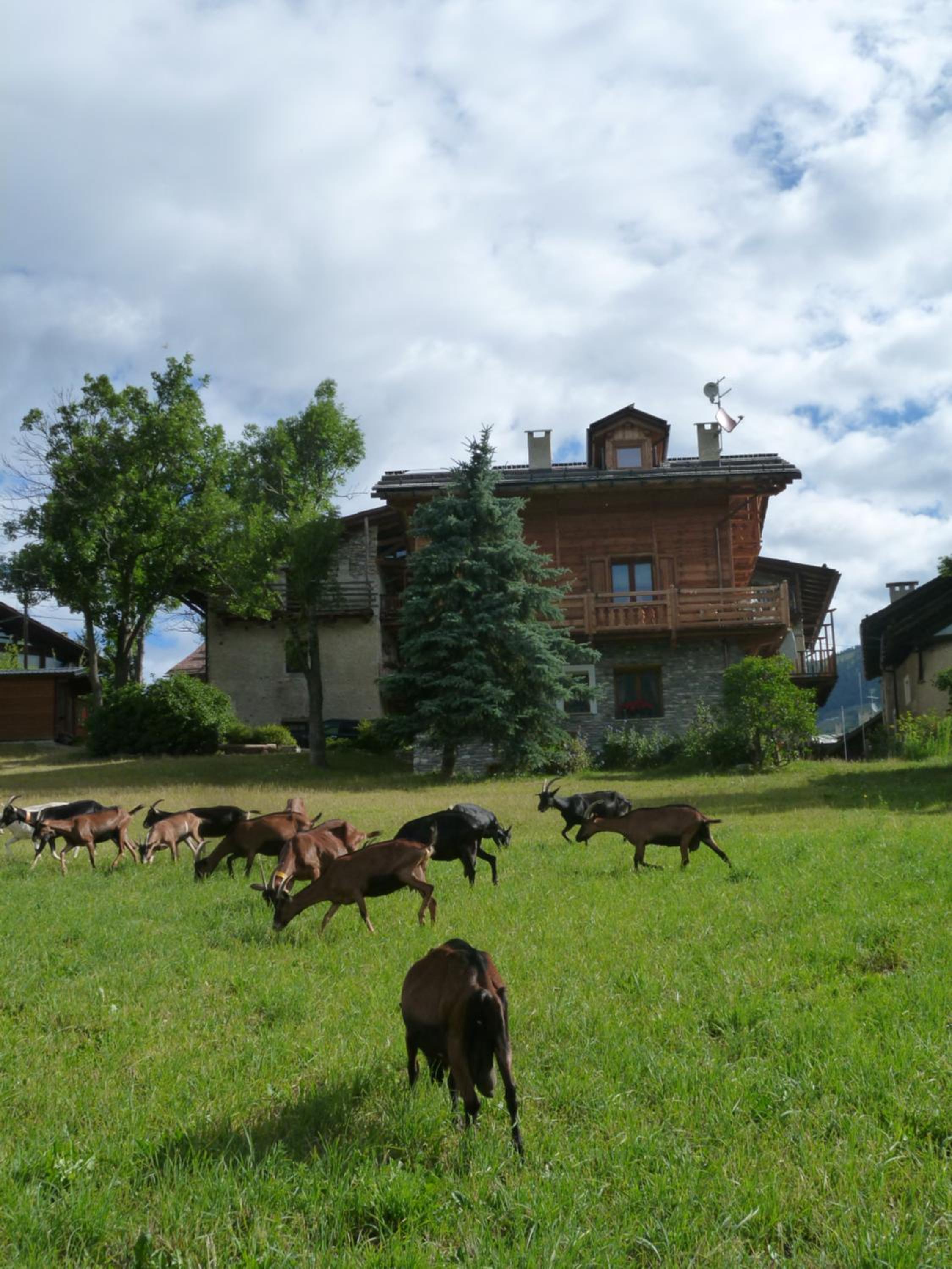 Photo 25