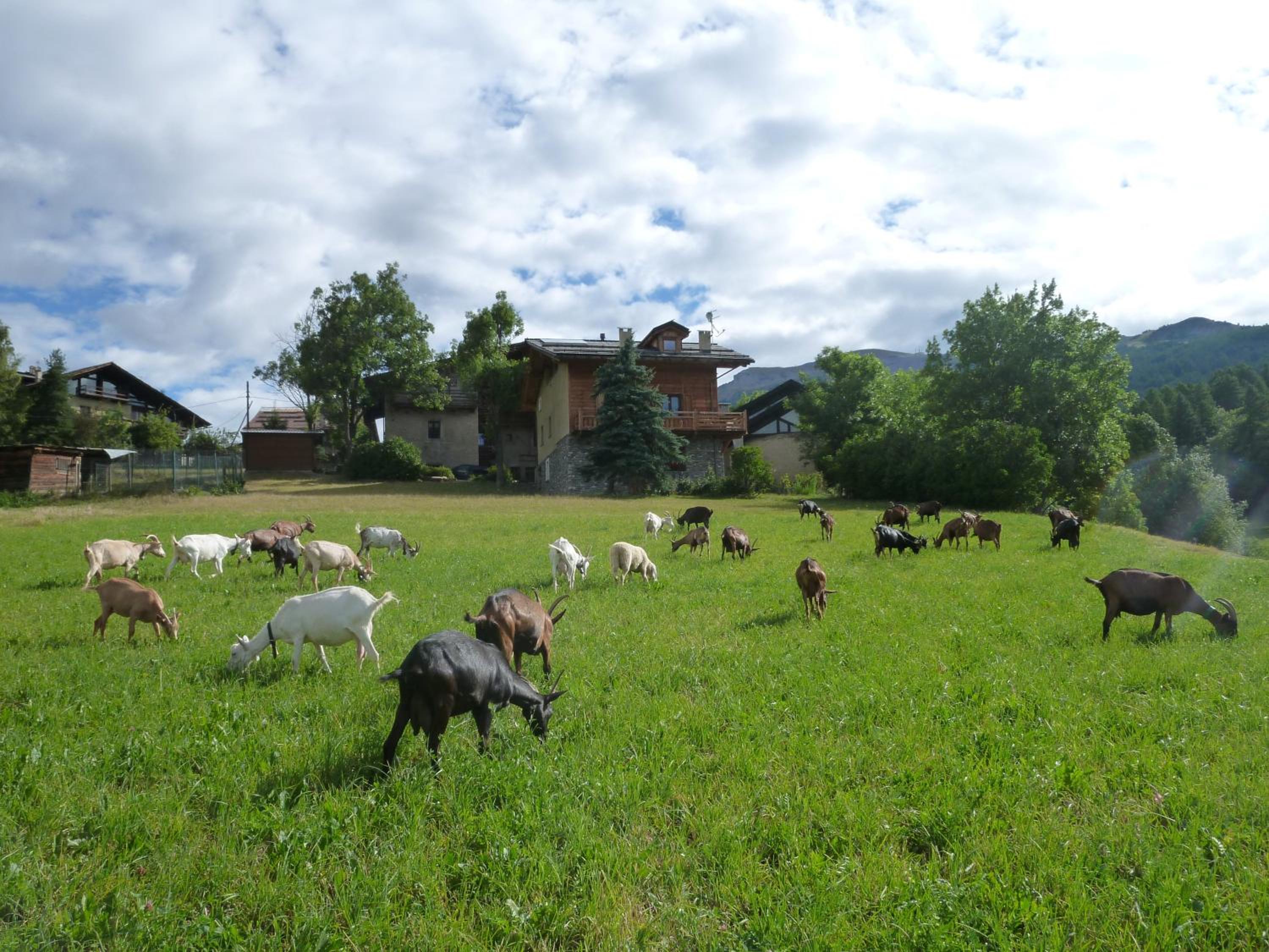 Photo 26
