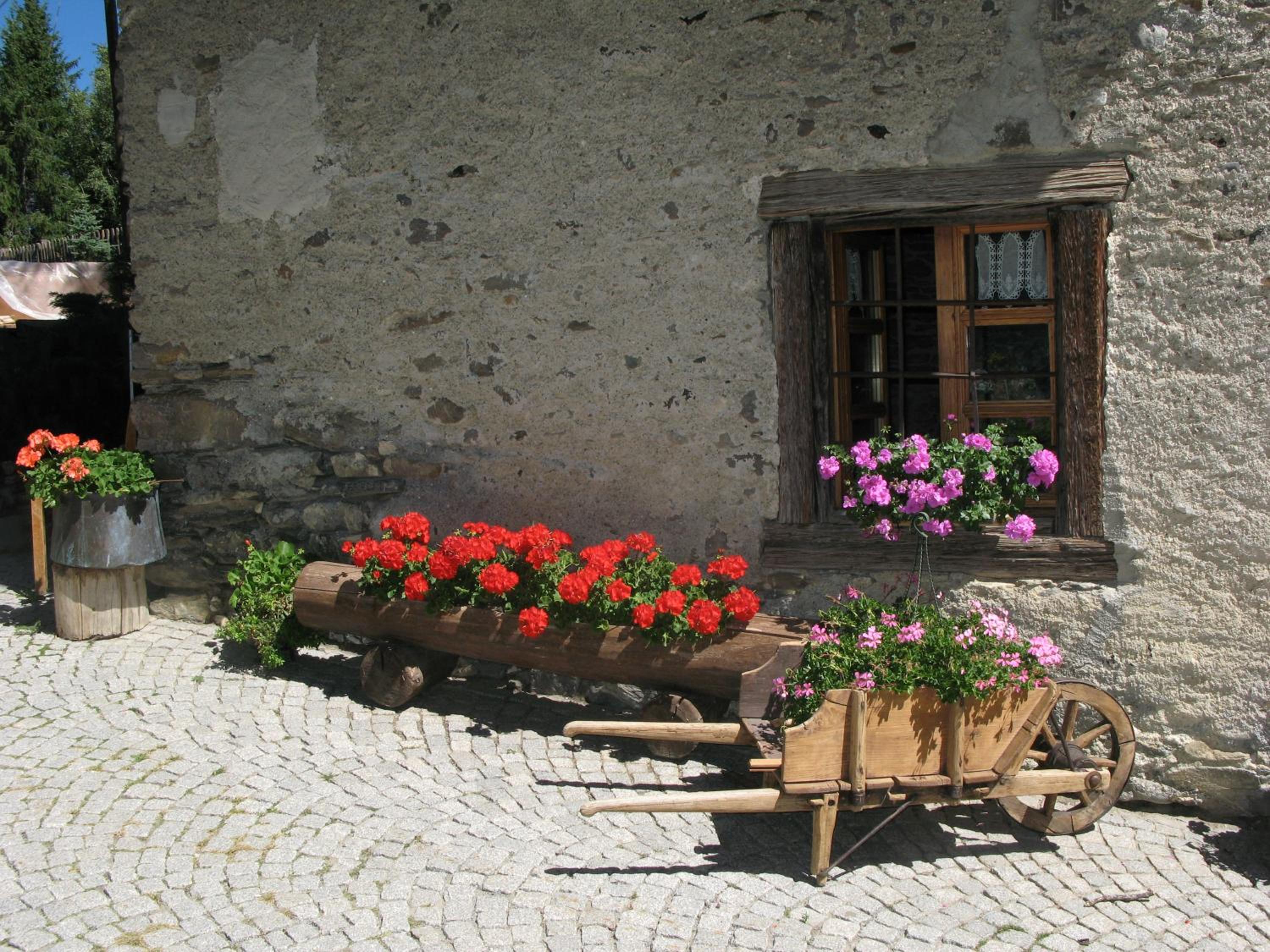 Photo 44