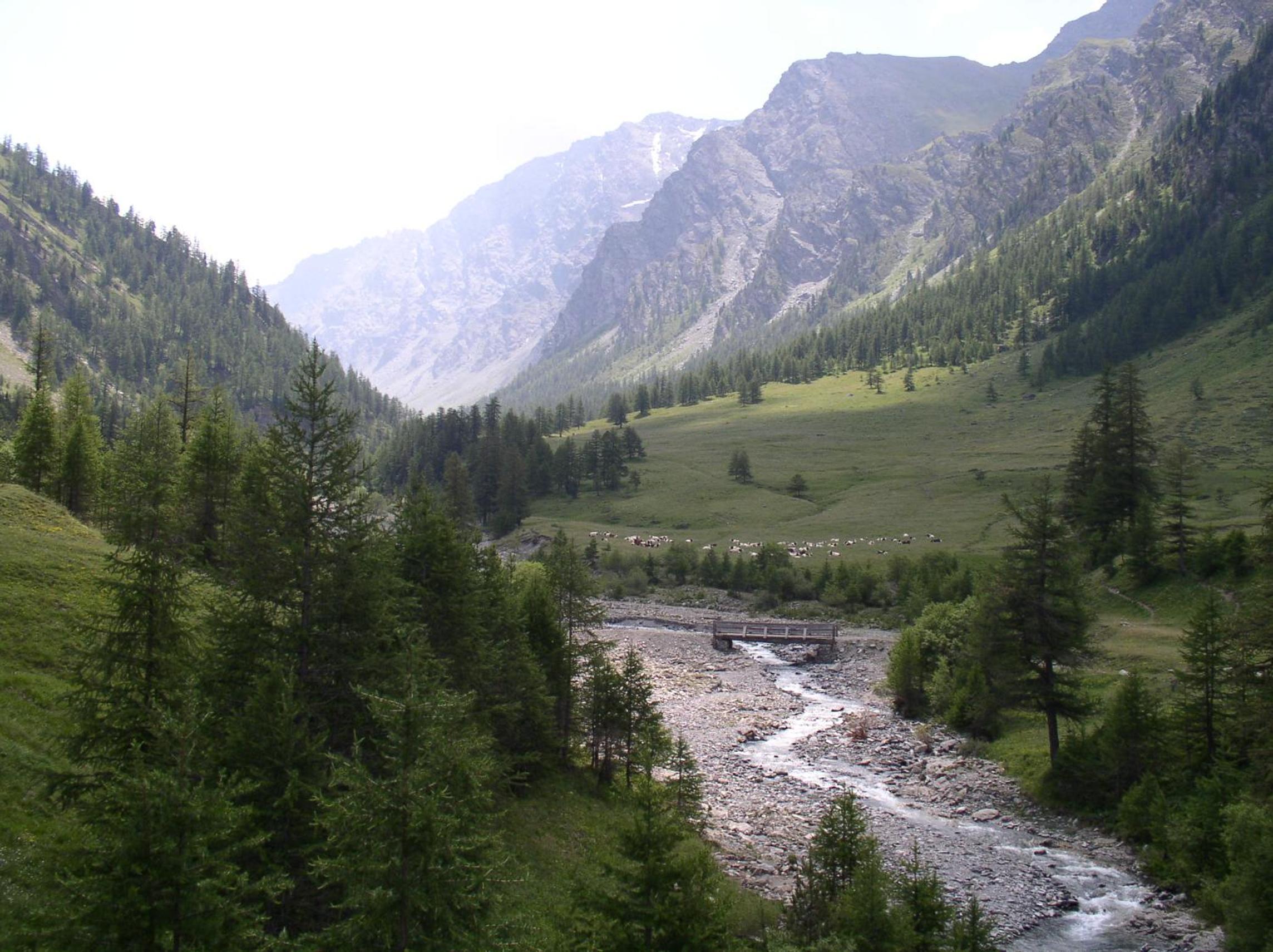 Photo 62