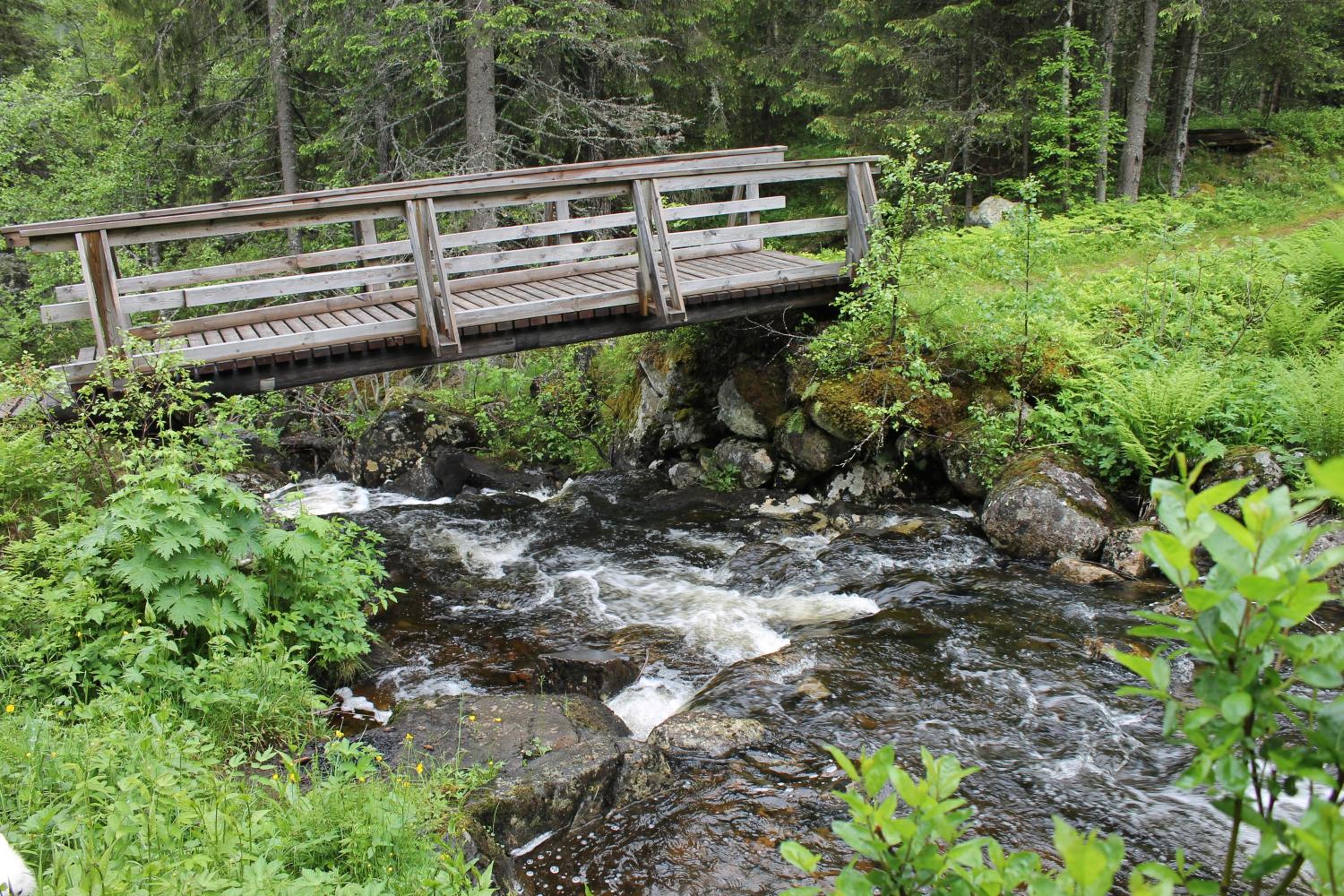 Photo 17