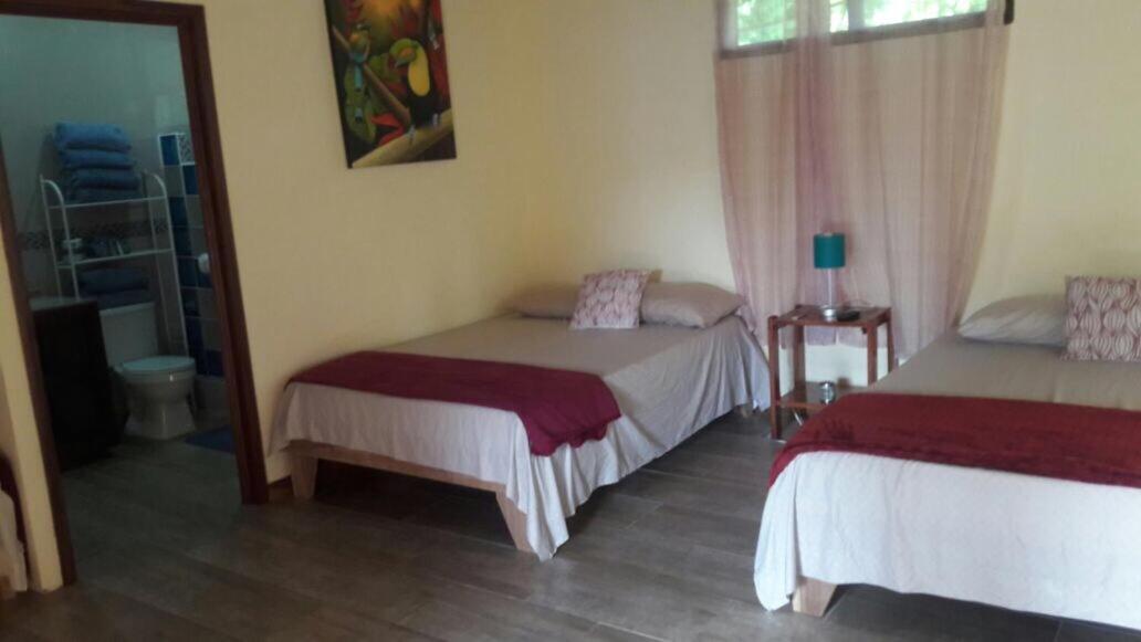 Suites Chile Verde view 3