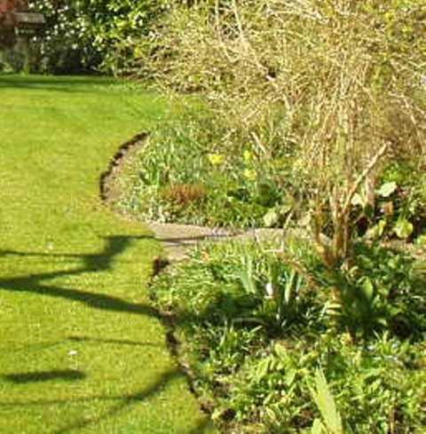 Photo 39