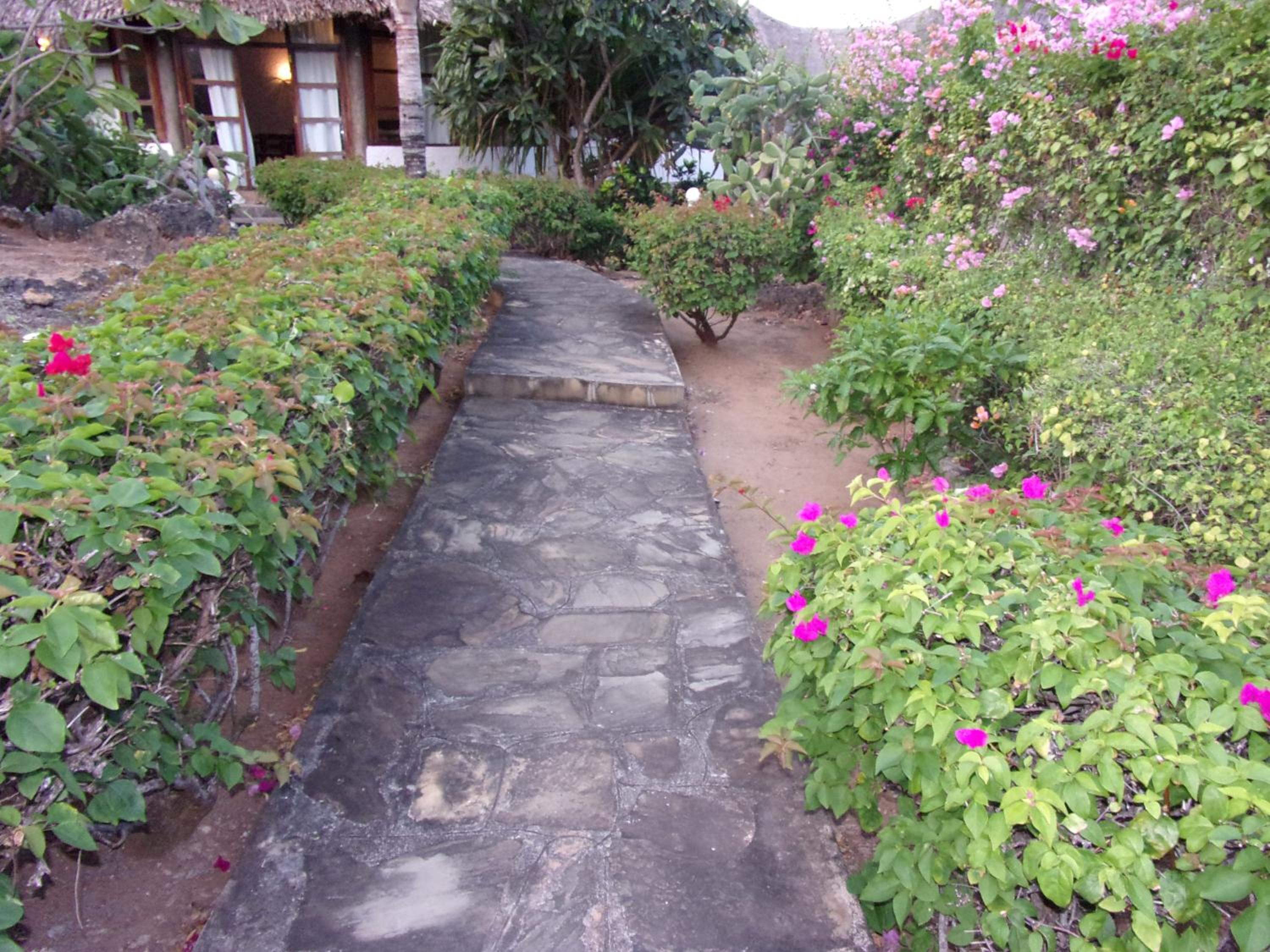 Photo 40