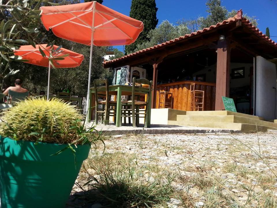 Photo 15