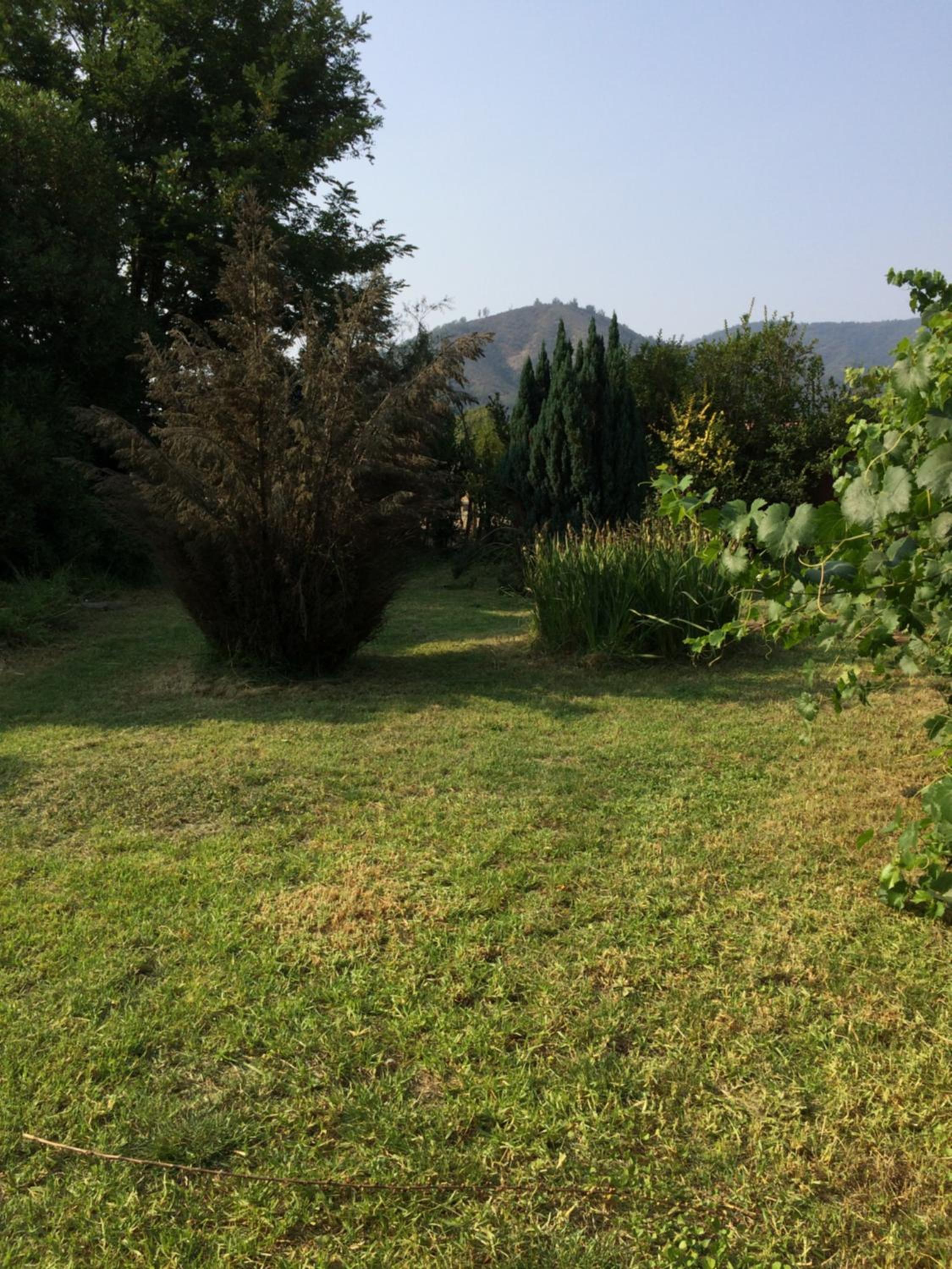 La Casa Vinilla