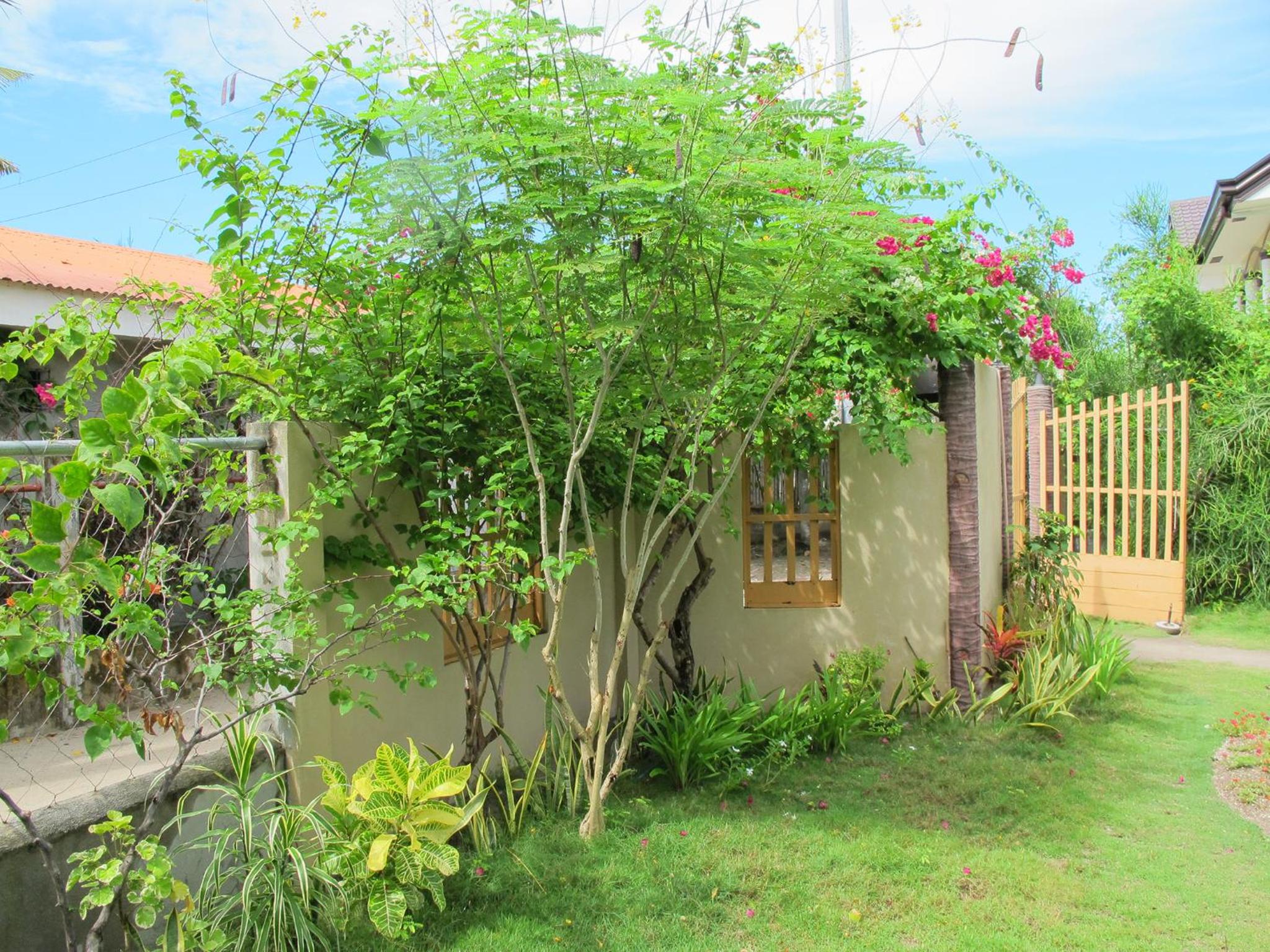 Celtis Resort
