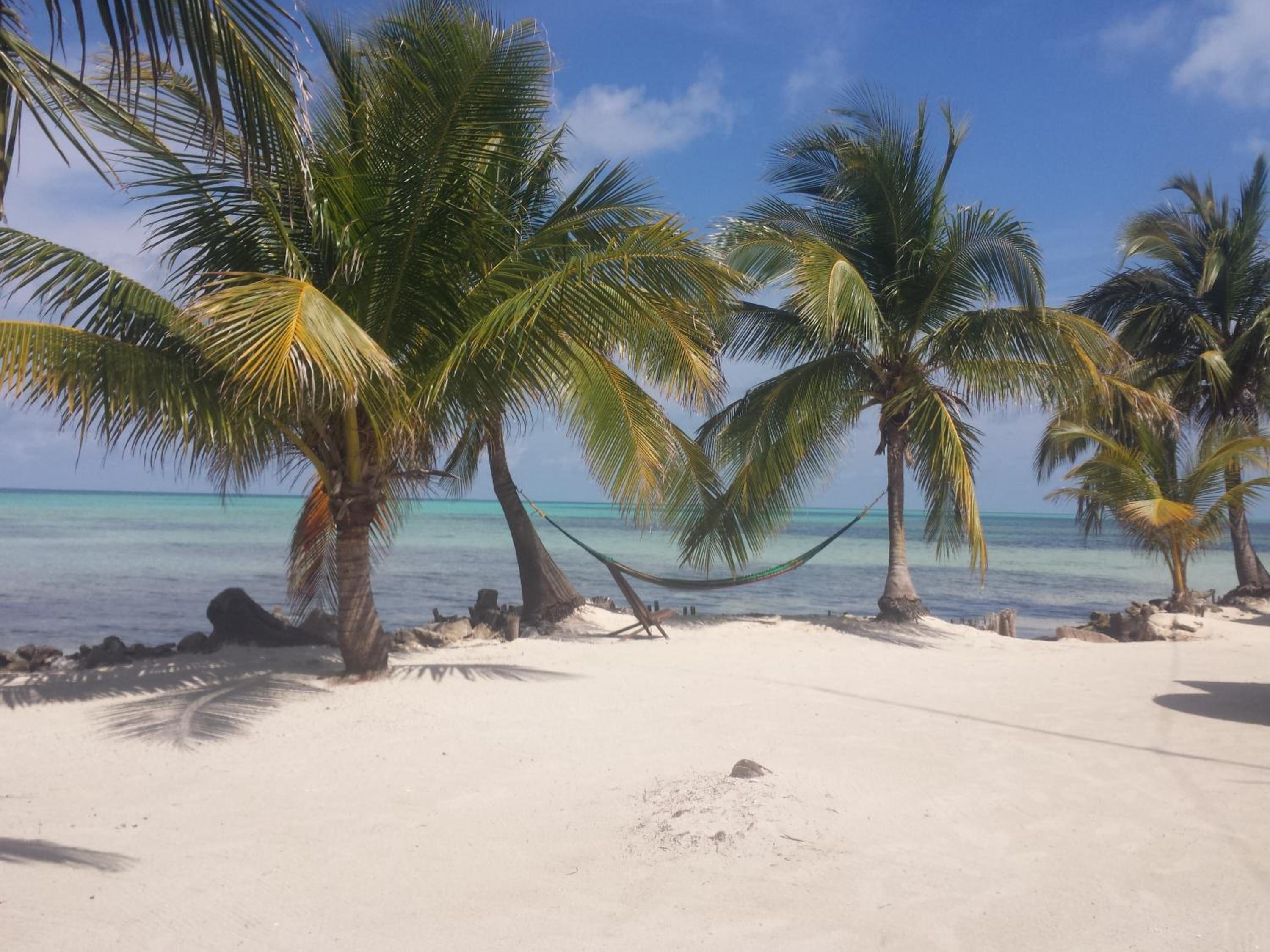 Palmento Grove Garifuna Eco-Cultural & Healing Institute