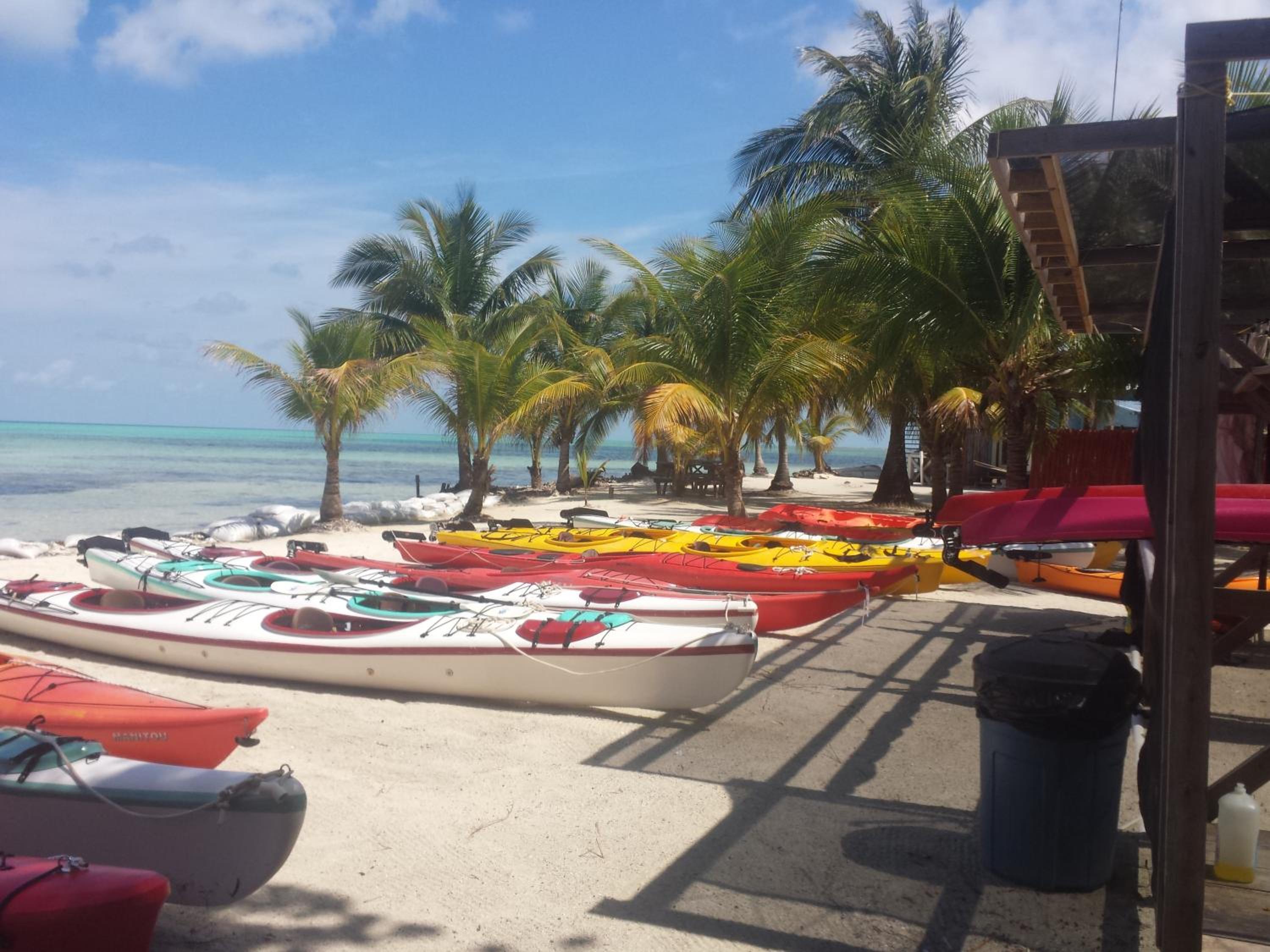 Palmento Grove Garifuna Eco-Cultural & Healing Institute