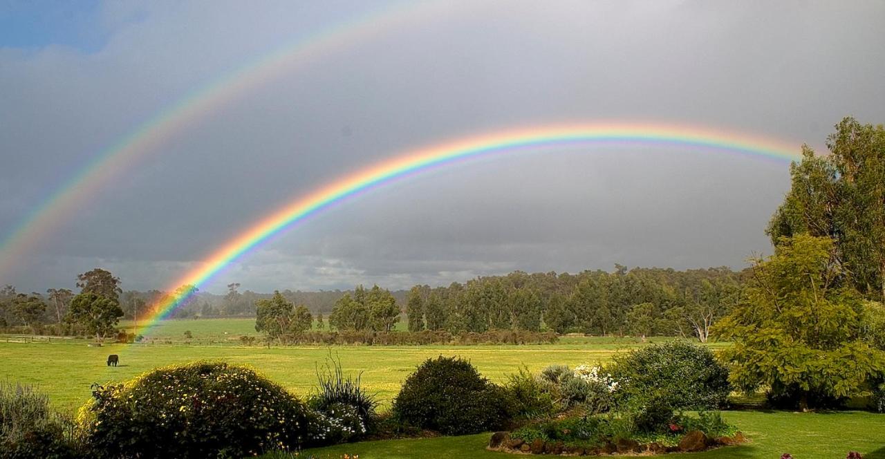 SilverSprings Spa Retreat Pet Friendly Cottages and Glampings