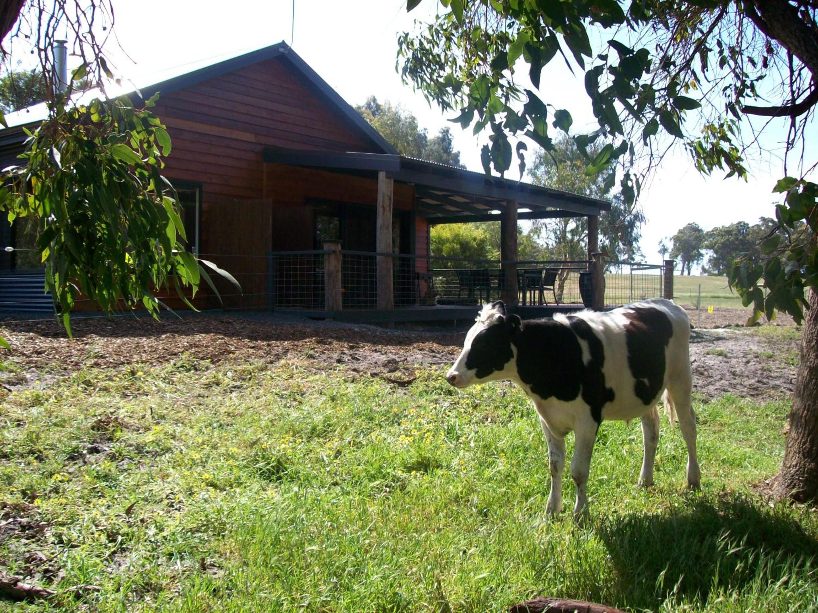 SilverSprings Spa Retreat Pet Friendly Cottages and Glampings