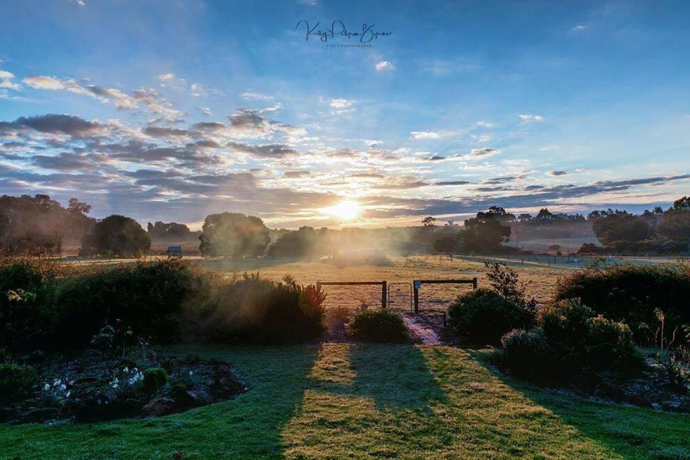 SilverSprings Spa Retreat Pet Friendly Cottages and Glampings