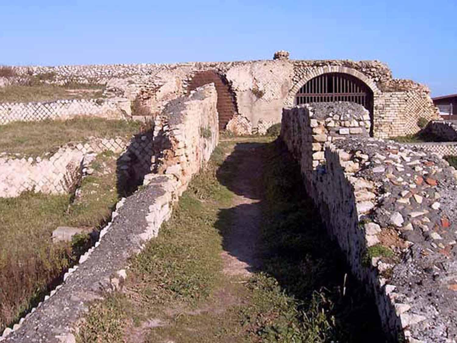 Photo 10
