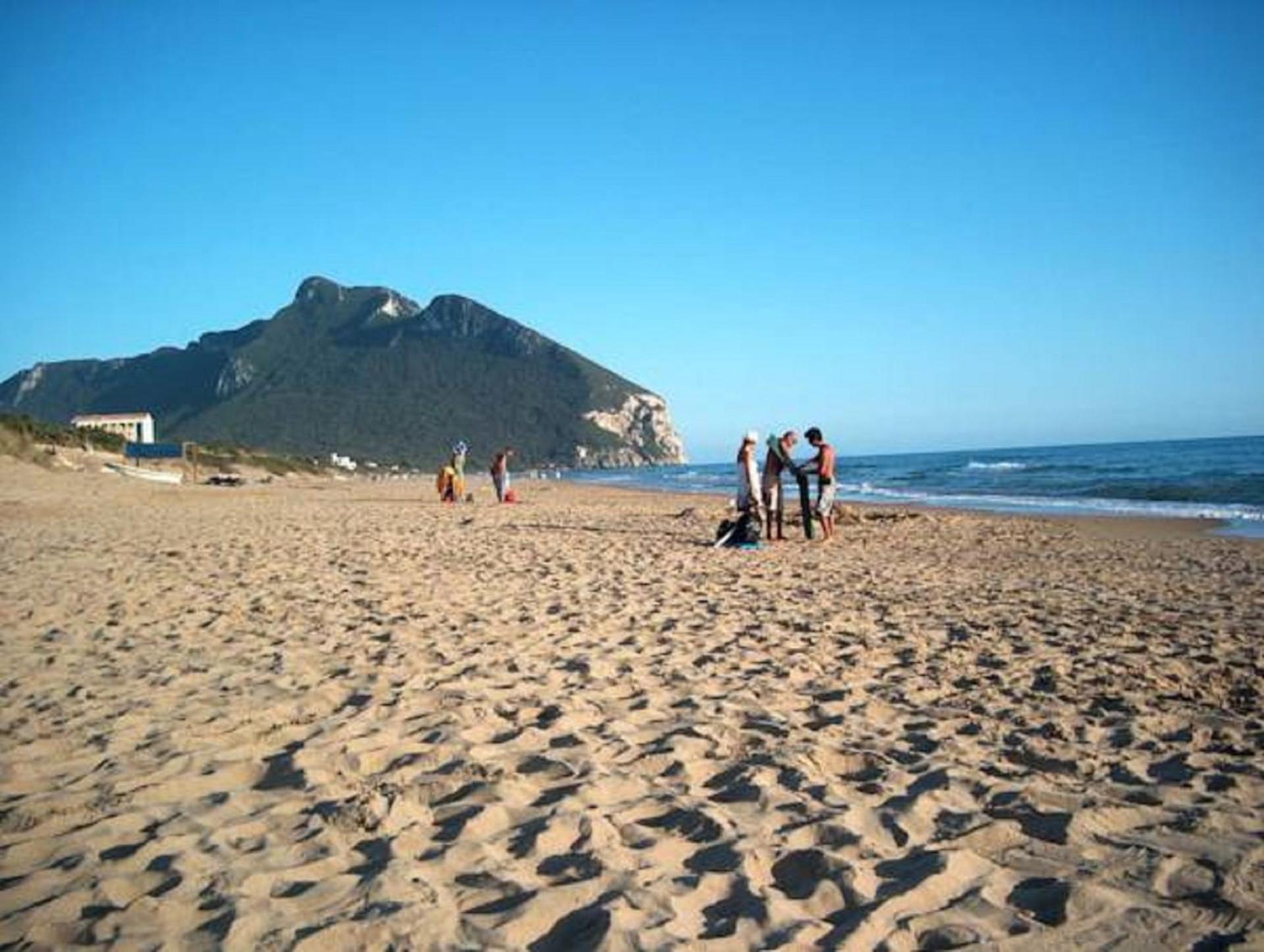 Photo 42