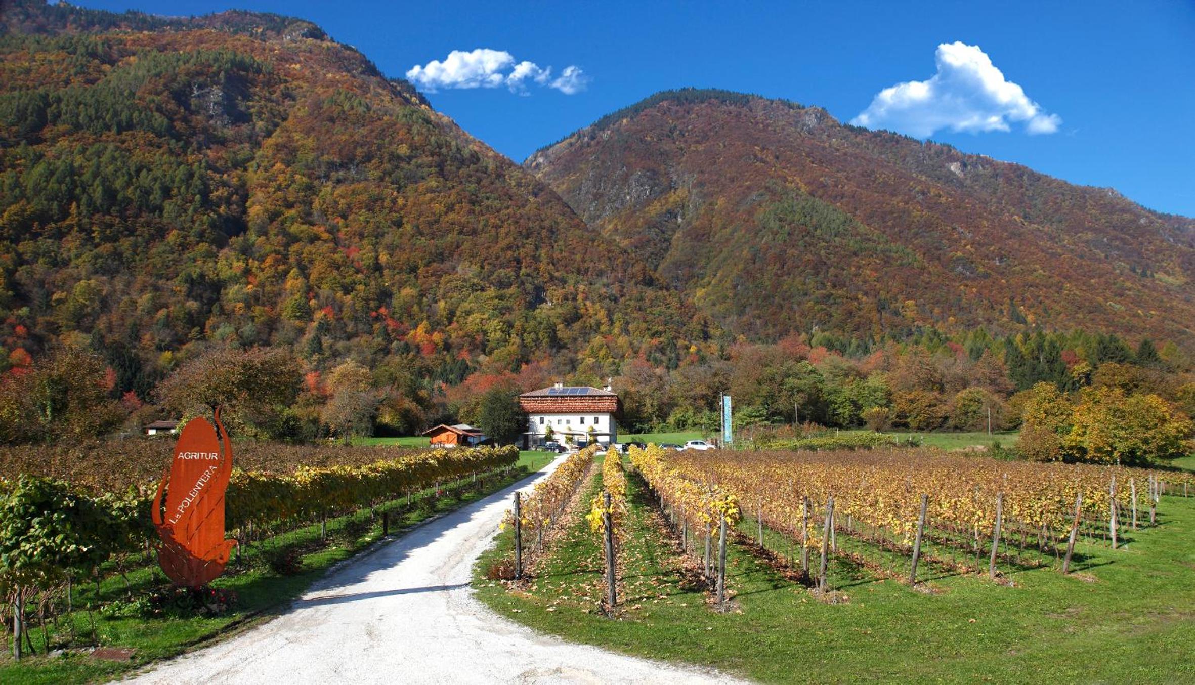 Agritur La Polentera view 3