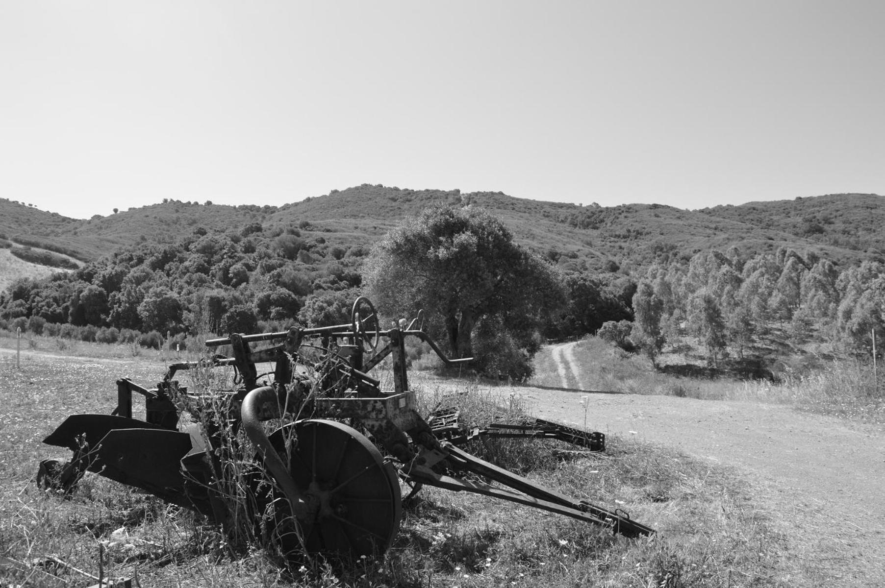 Photo 43