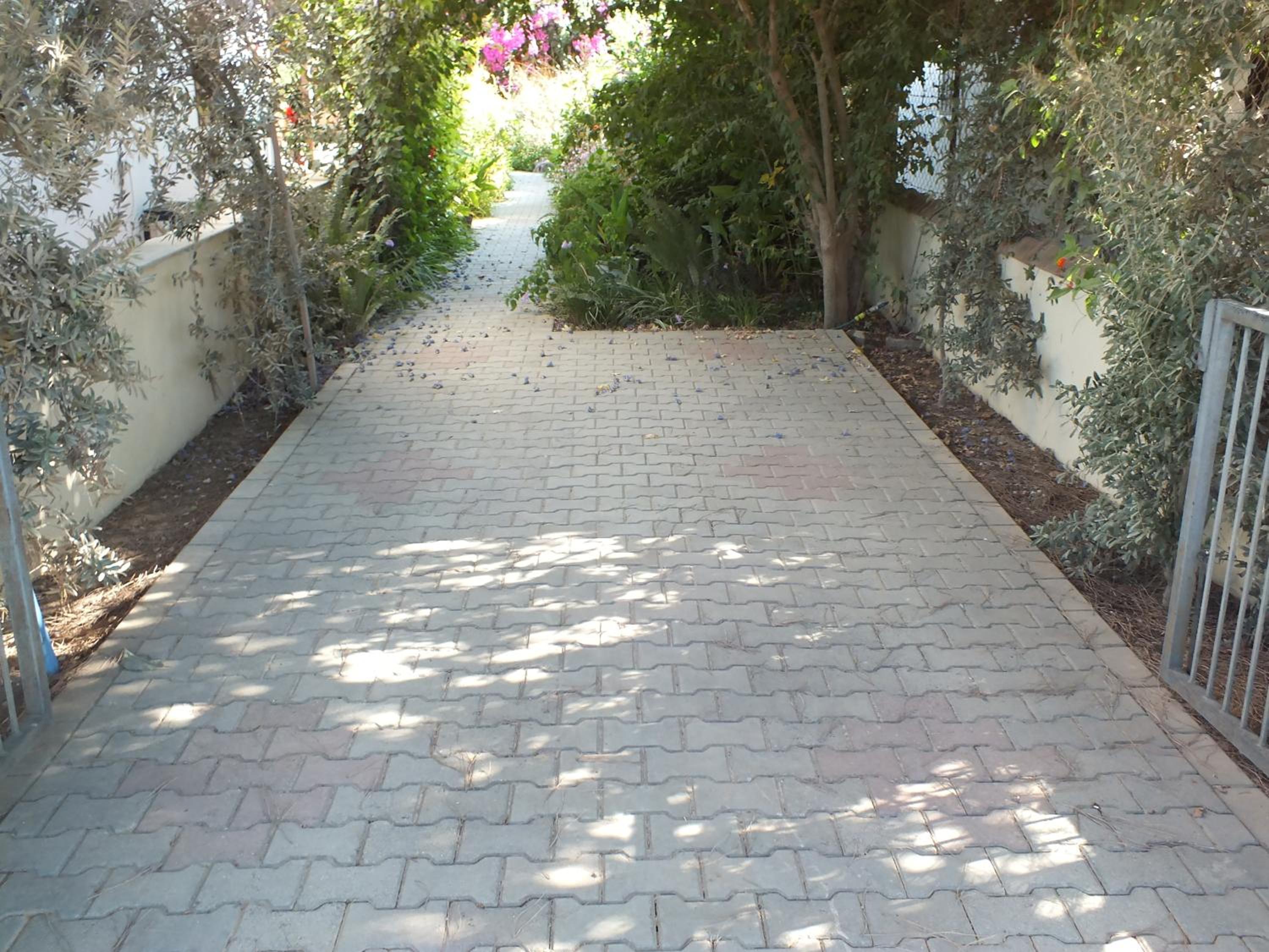 Photo 28