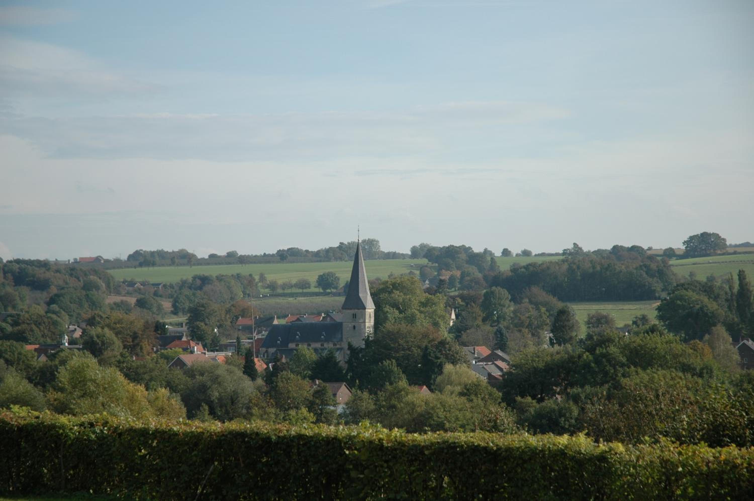 Photo 42