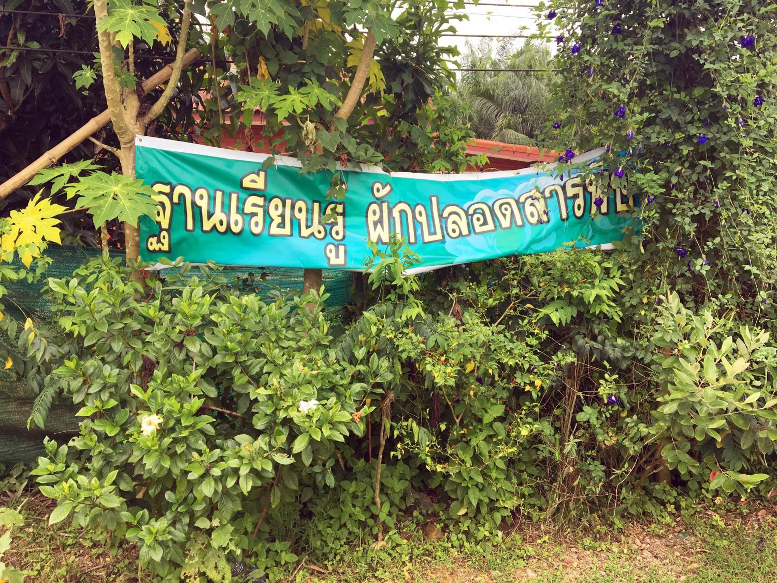 Go Green Resort