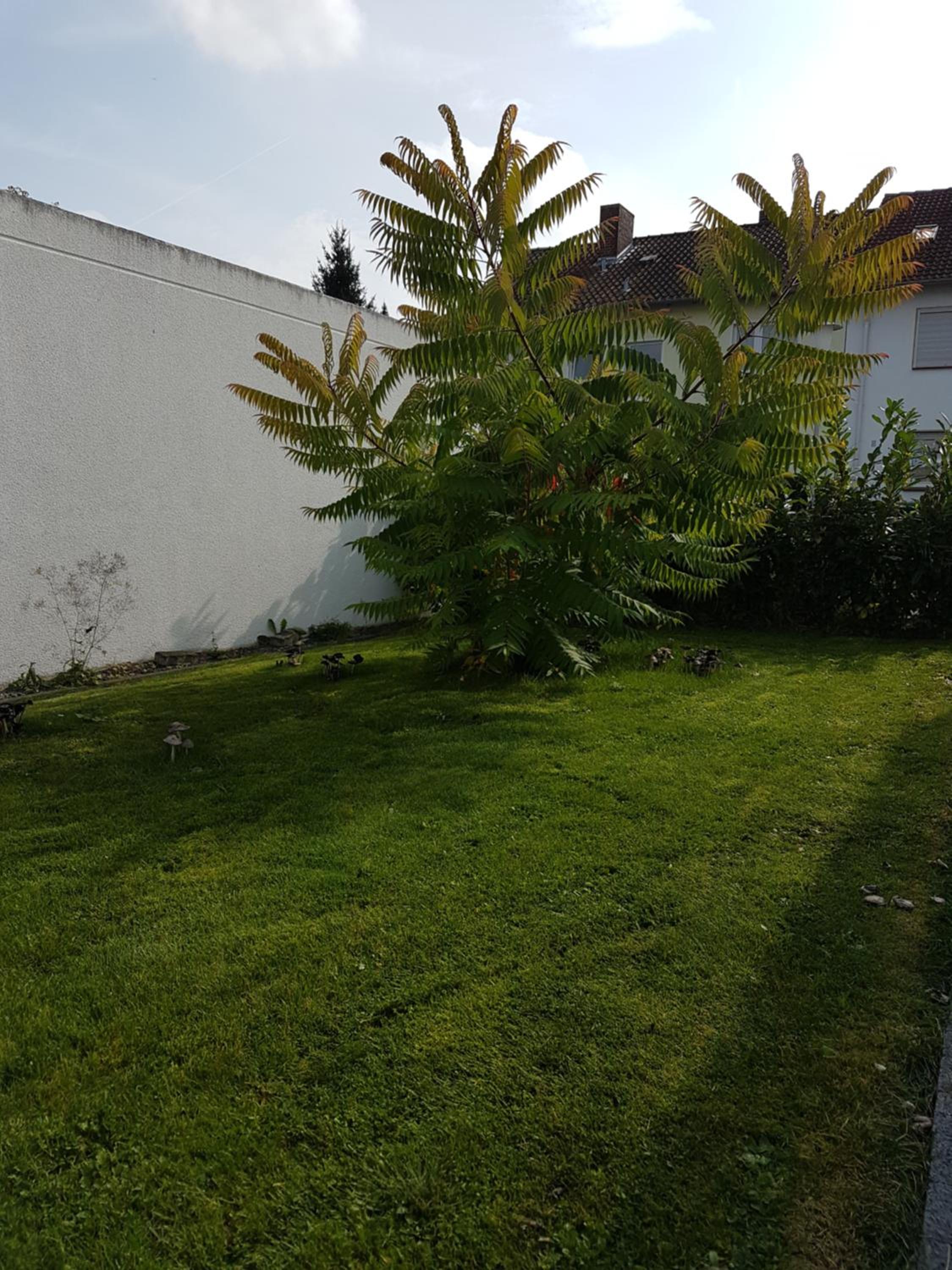 Pension Harleshausen