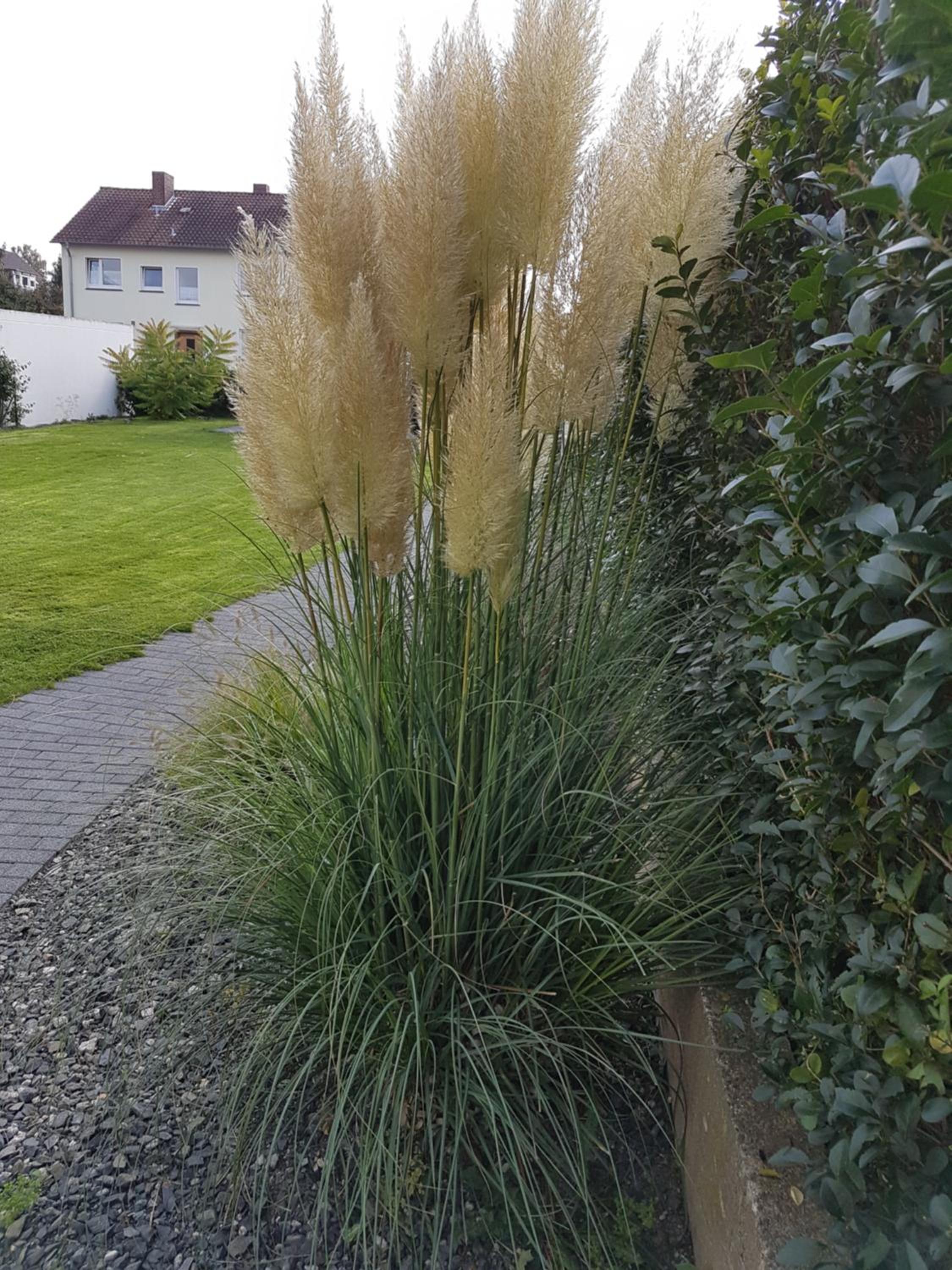 Pension Harleshausen