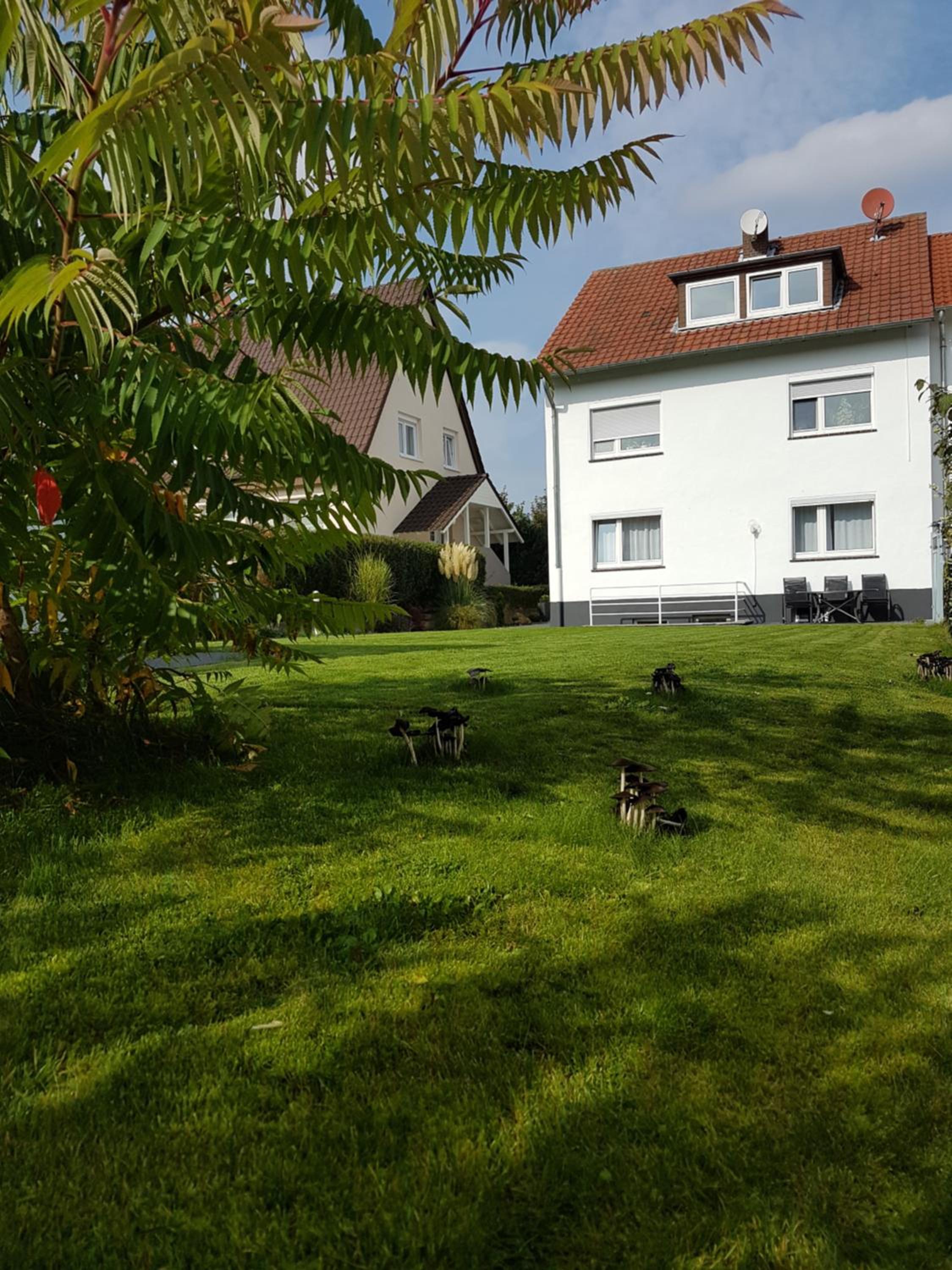 Pension Harleshausen