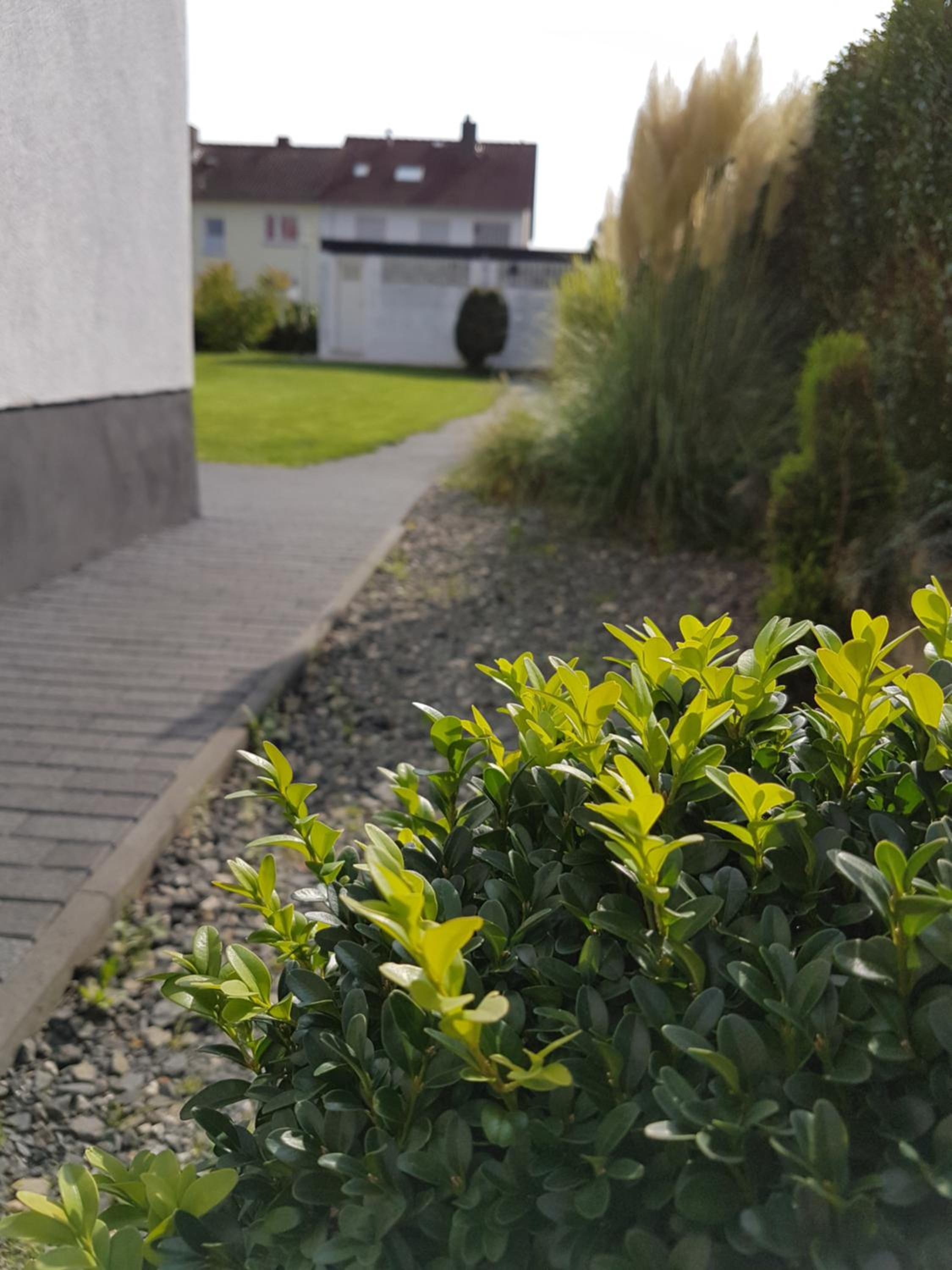 Pension Harleshausen