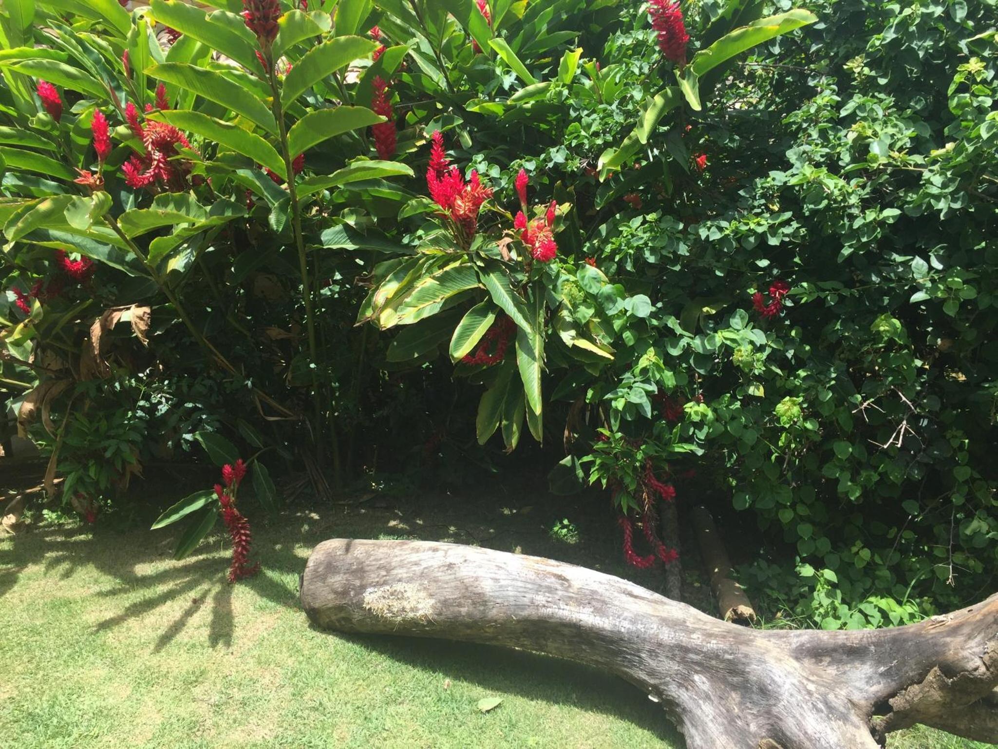 Praia da Ferradurinha Guest House